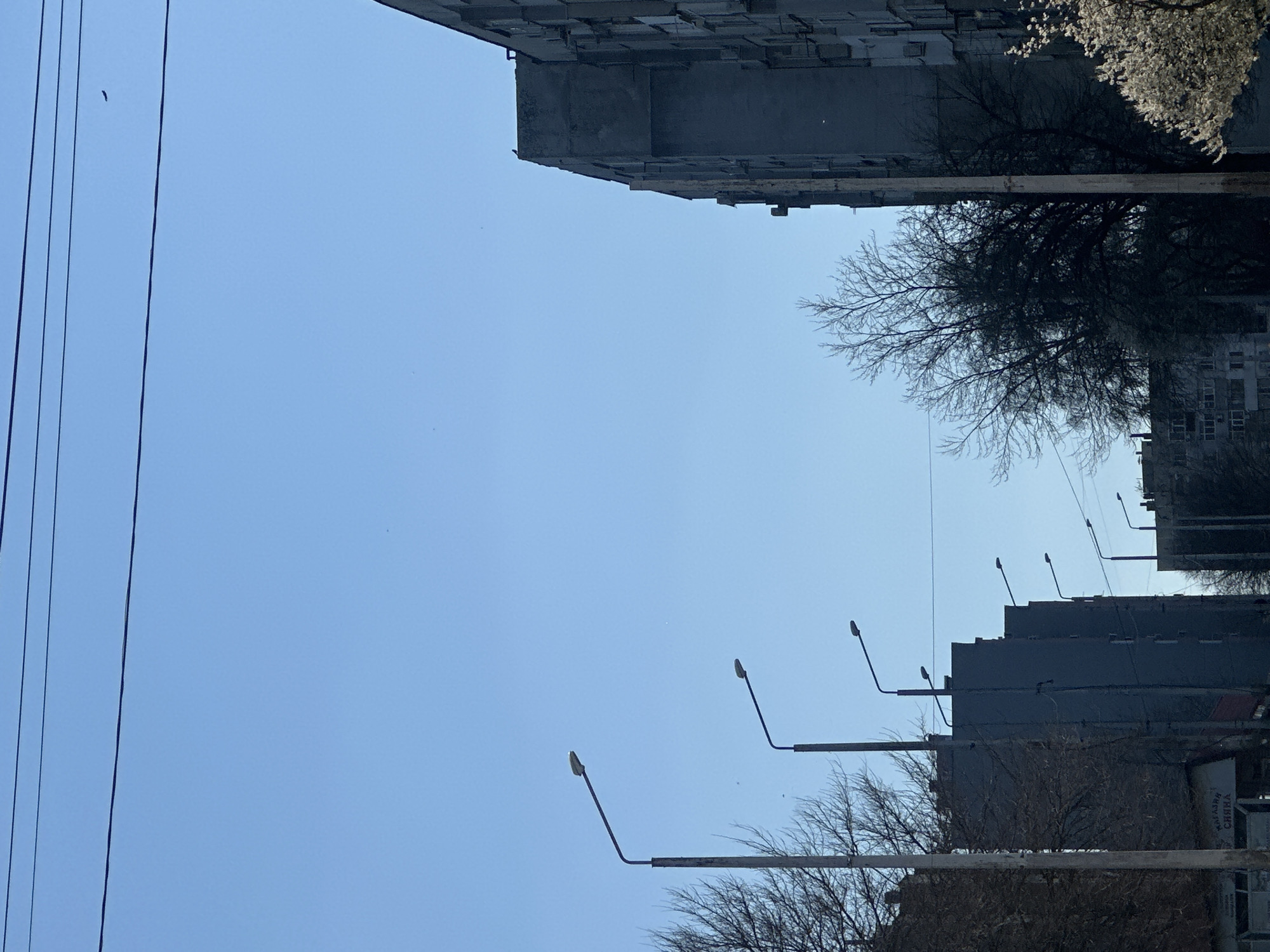 Clear skies observed over residential street in Dobrich, Bulgaria