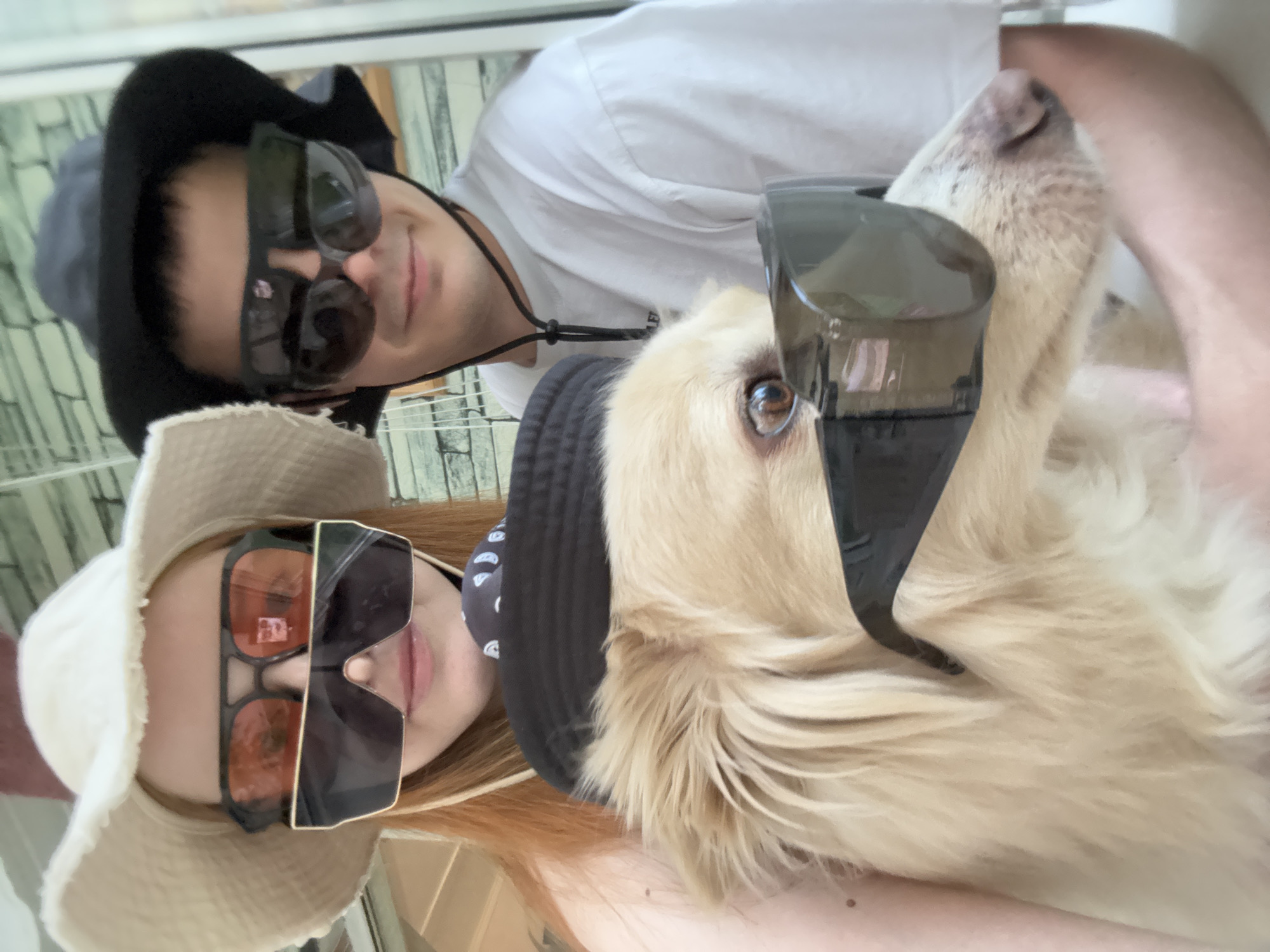 Family with dog visits forest park in Chaikovsky, Russia