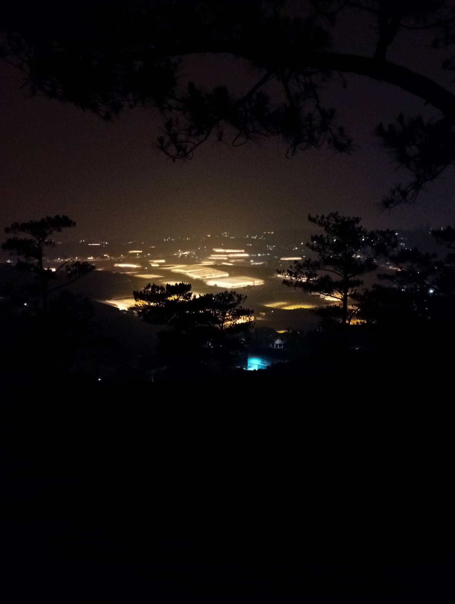 Nighttime valley view captured from elevated position in Lạc Dương