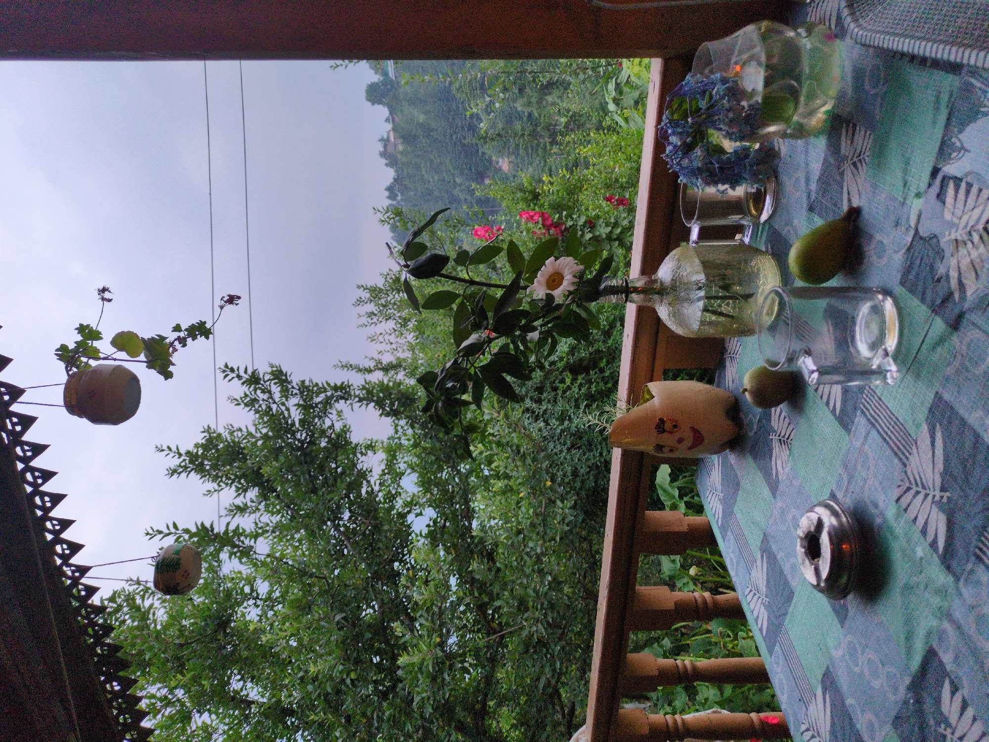 Green hillside view from a porch in Naggar, India