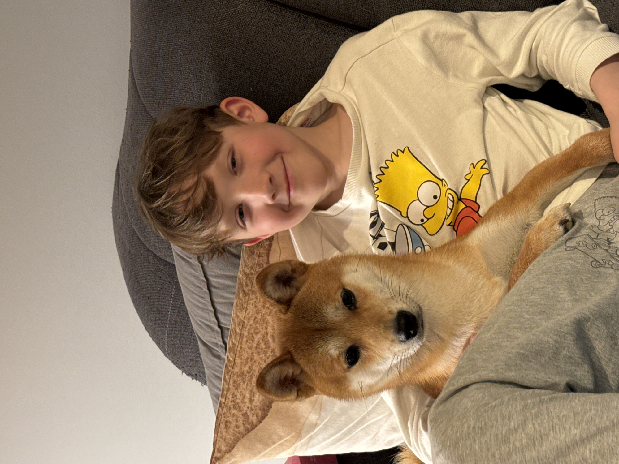 Boy and Shiba Inu share quiet moment on sofa