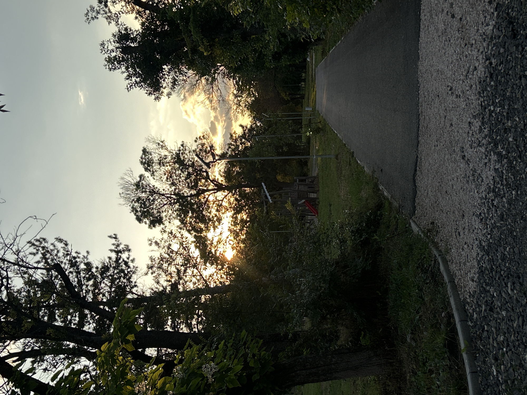 Evening bike ride through Dimitrovgrad park paths