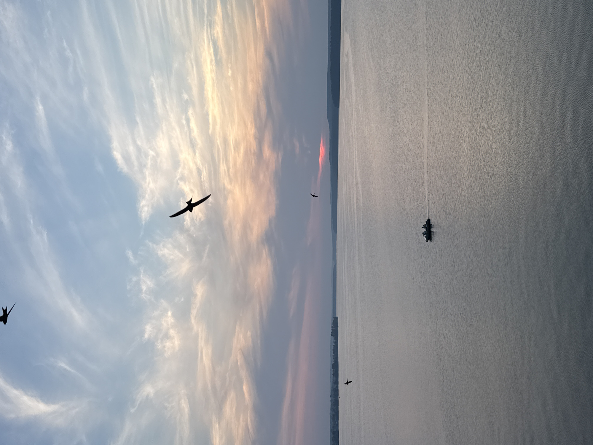 Sunset birds and color over the Votkinsk Reservoir