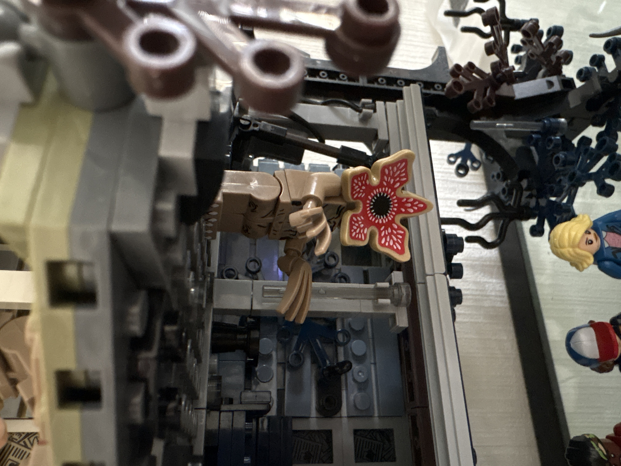 Cat, Lego Stranger Things Sets Documented in Russian Home