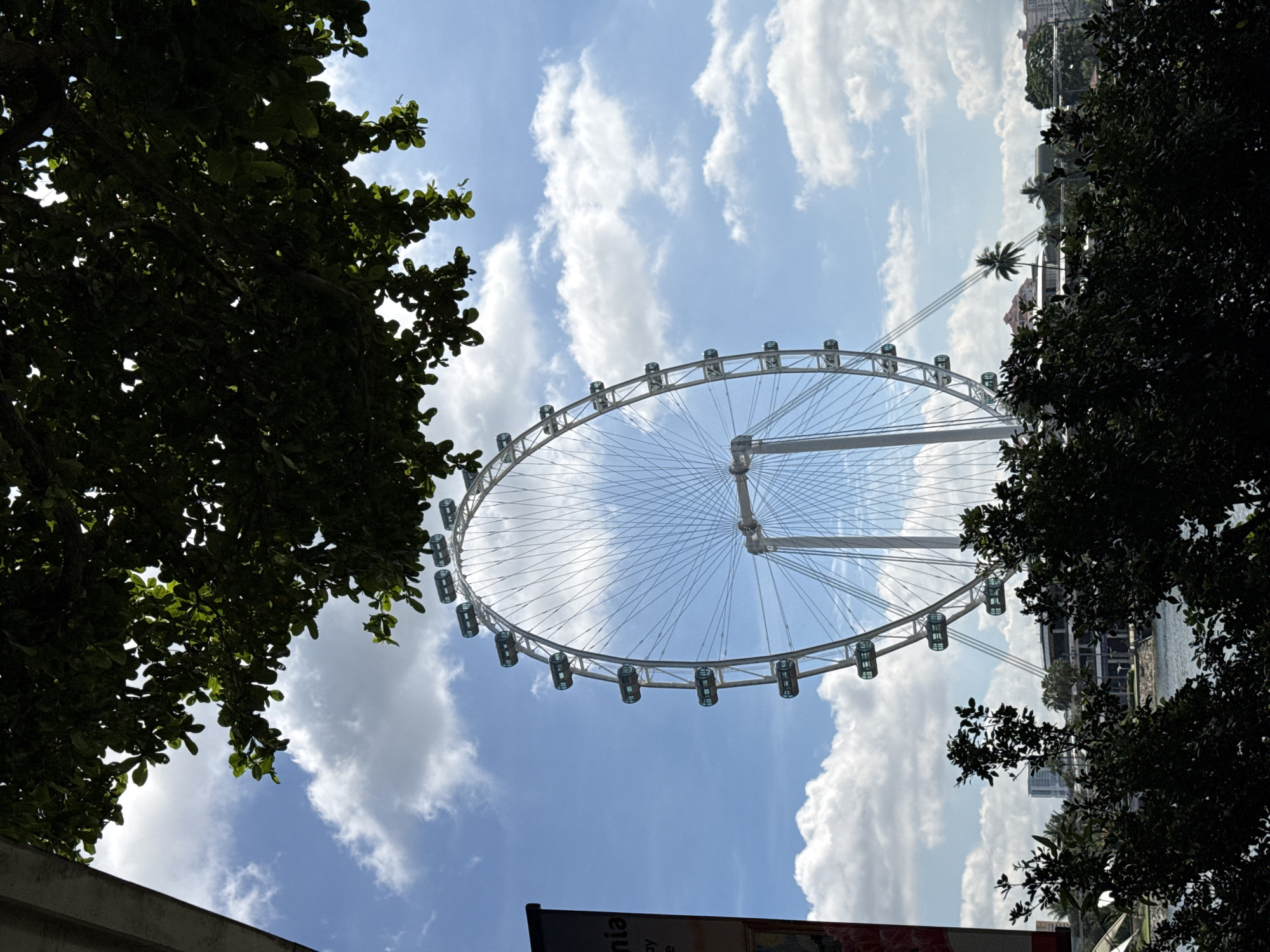 Early morning scenes from Singapore's Marina Bay area documented