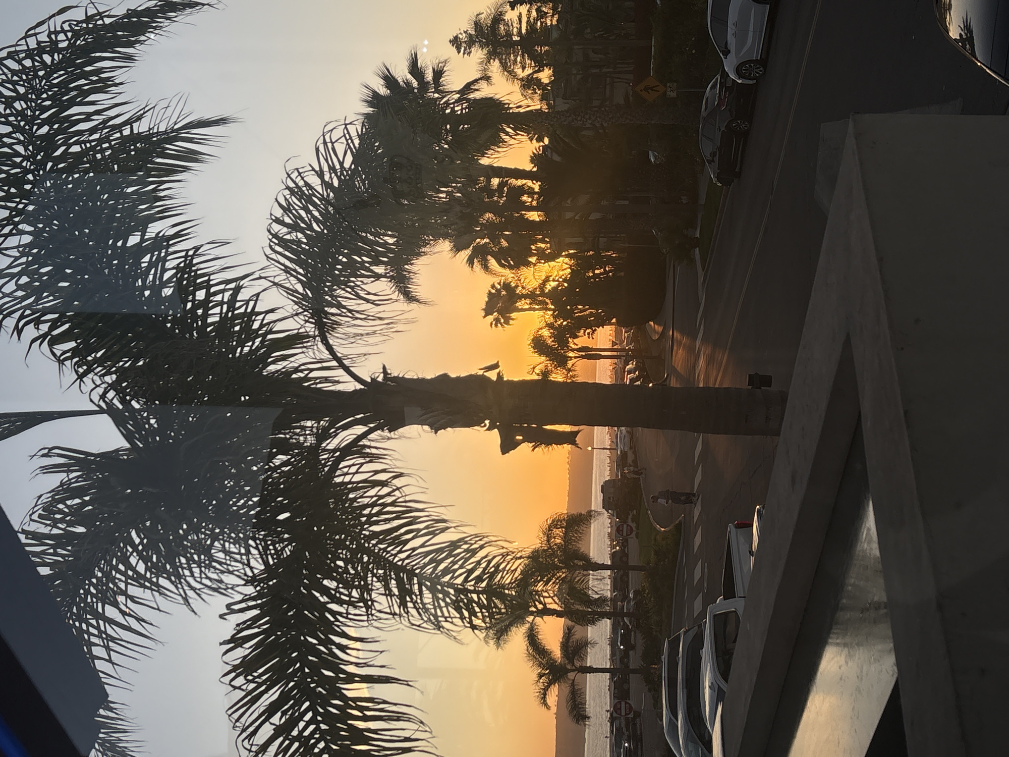 Sunset photographed with palm trees in Coronado, California