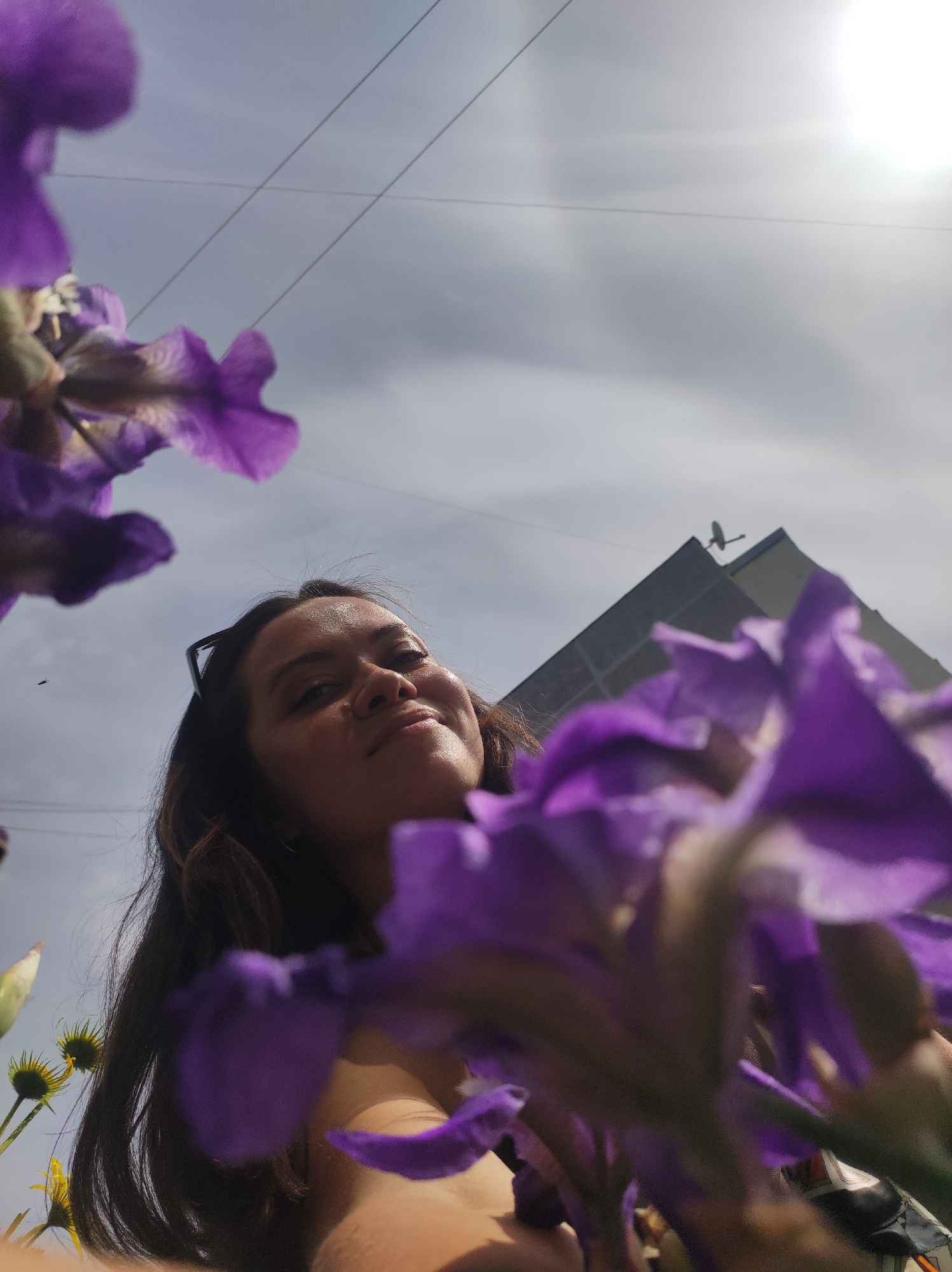Woman photographed among purple irises in Chaikovsky, Russia