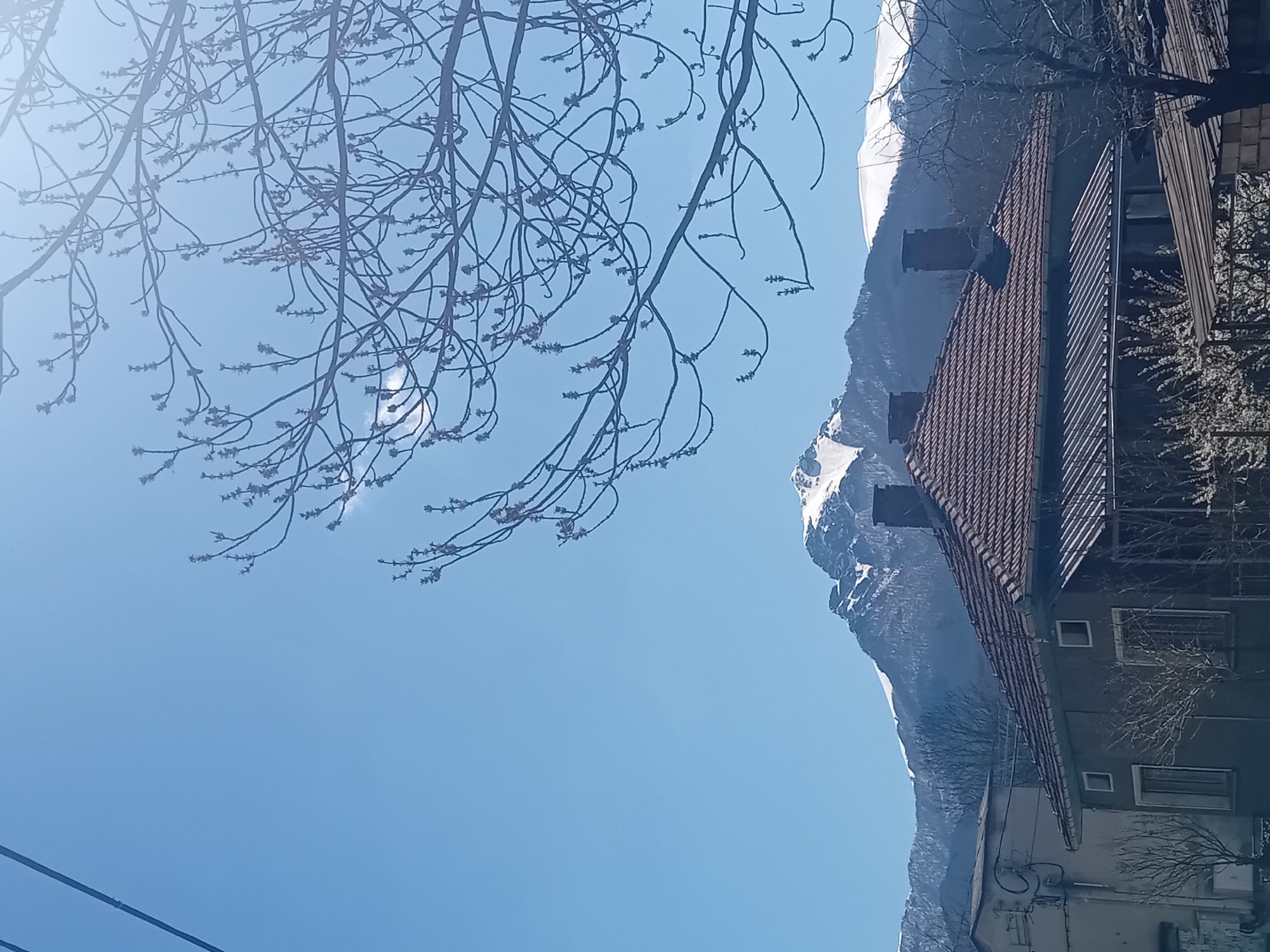 Spring blooms documented in mountainous village with red-roofed houses