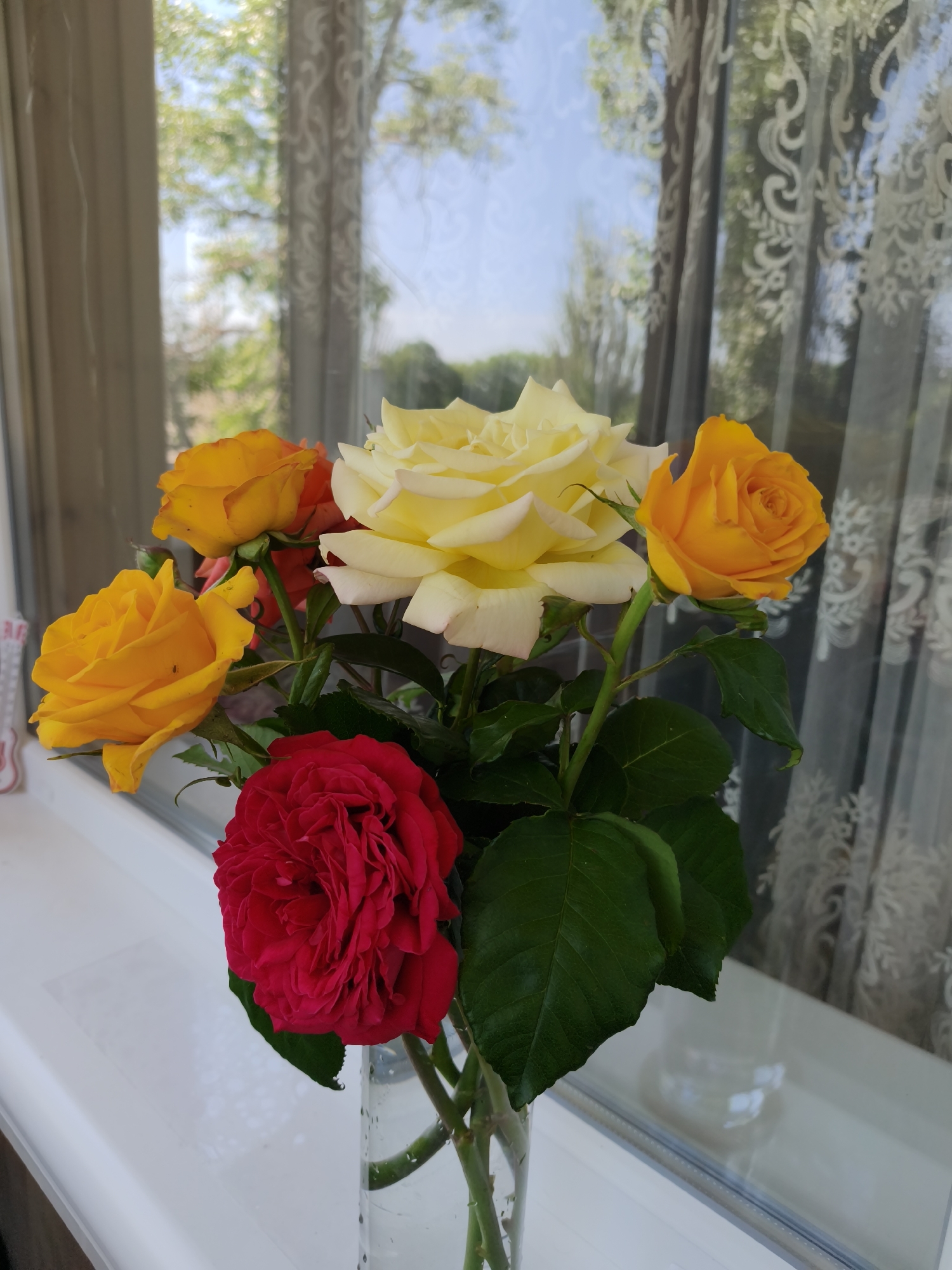 Colorful rose bouquet displayed on windowsill in Kryvyi Rih