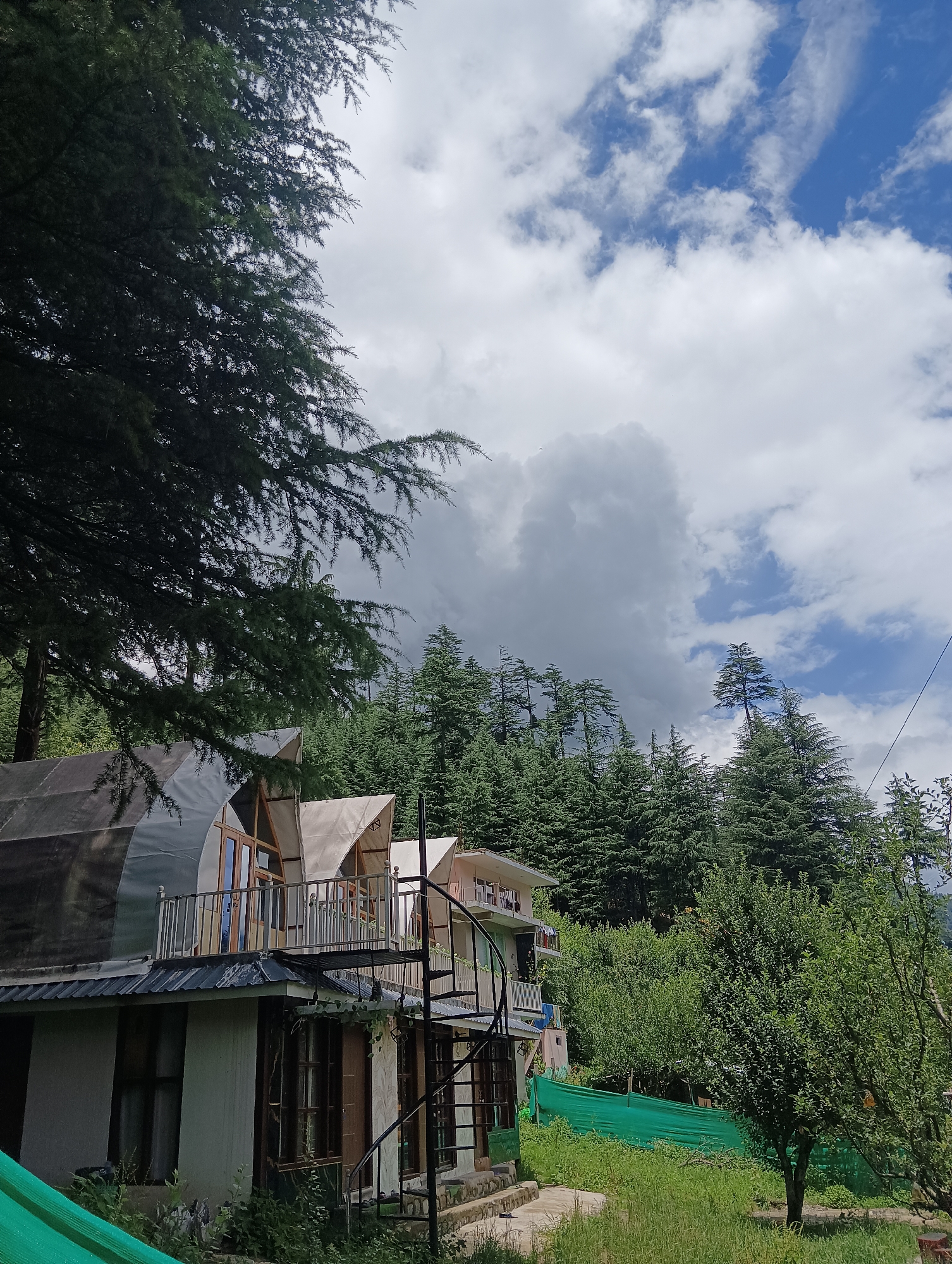 Forested hillside and local architecture in Manali