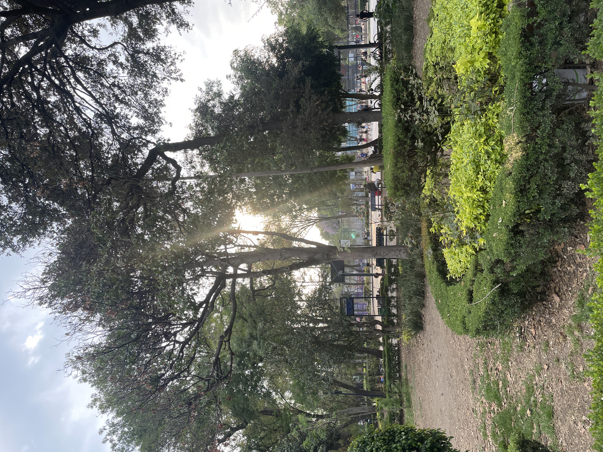 Evening documentation captures diverse Mexico City neighborhood scenes