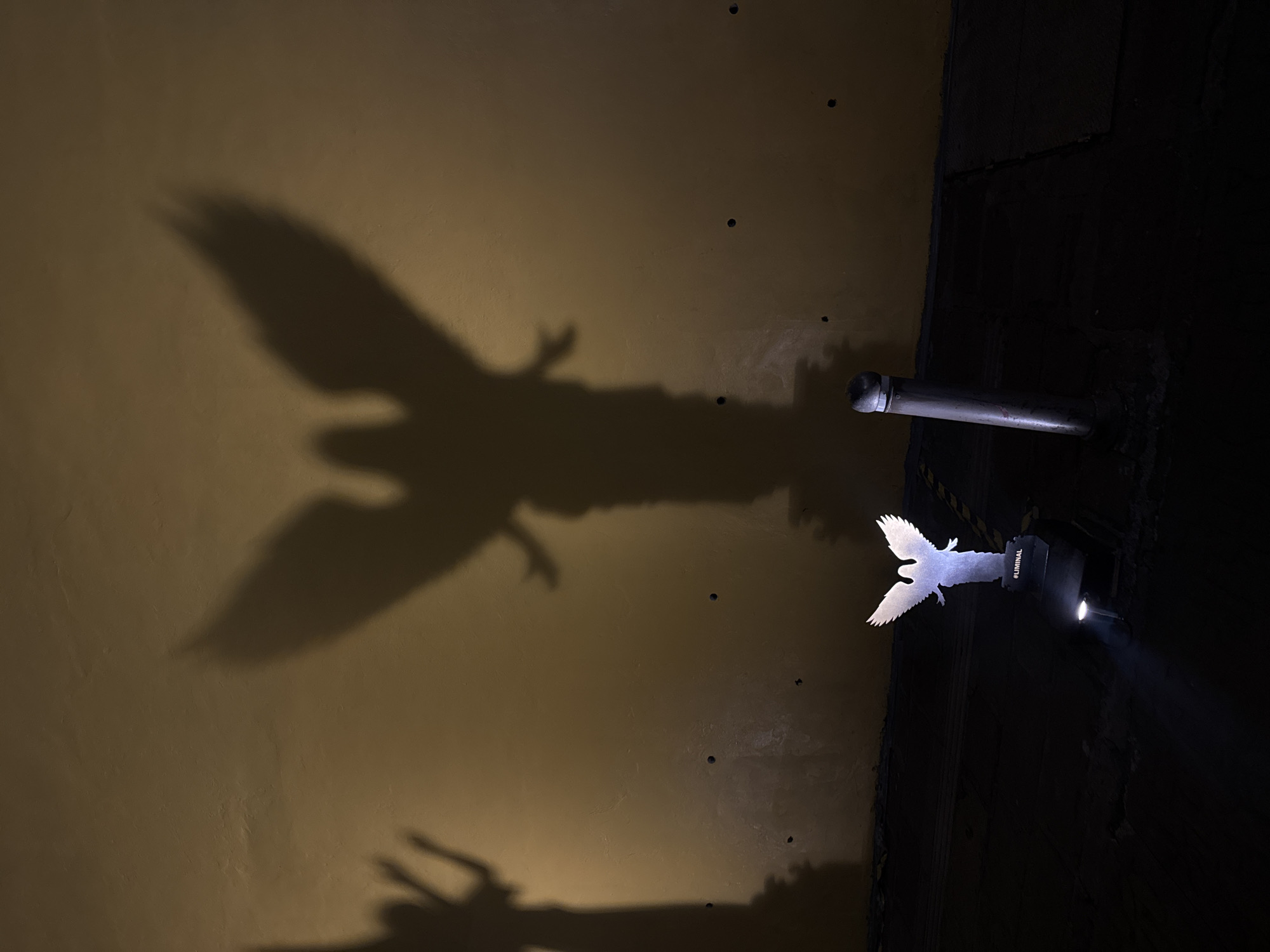 Projection mapping art show draws crowds in Puebla, Mexico