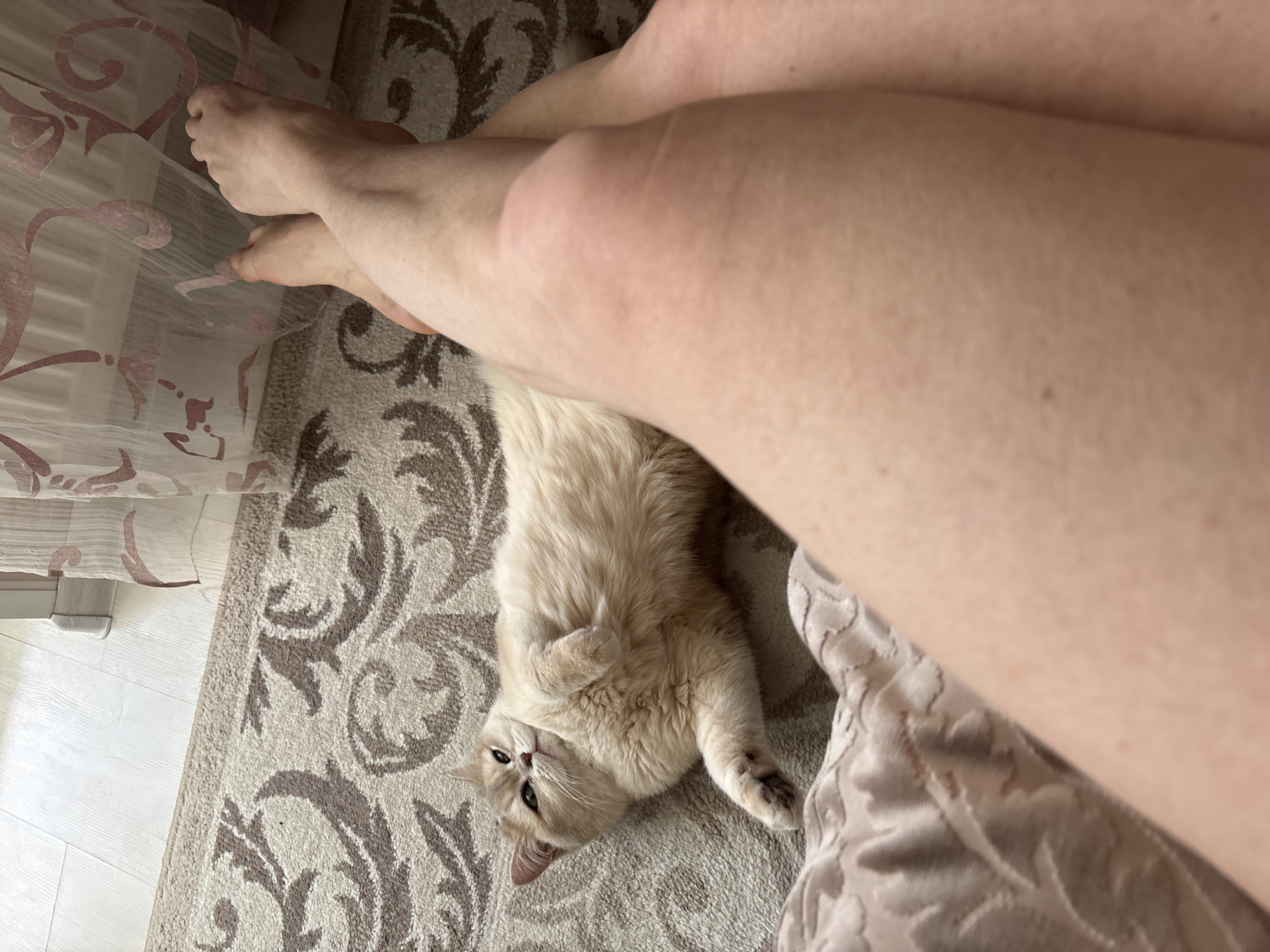 Daily life moments documented across Chaikovsky, Russia