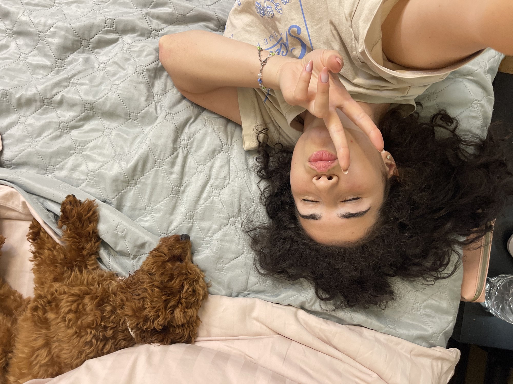 Woman and poodle share quiet evening at home in Sofia