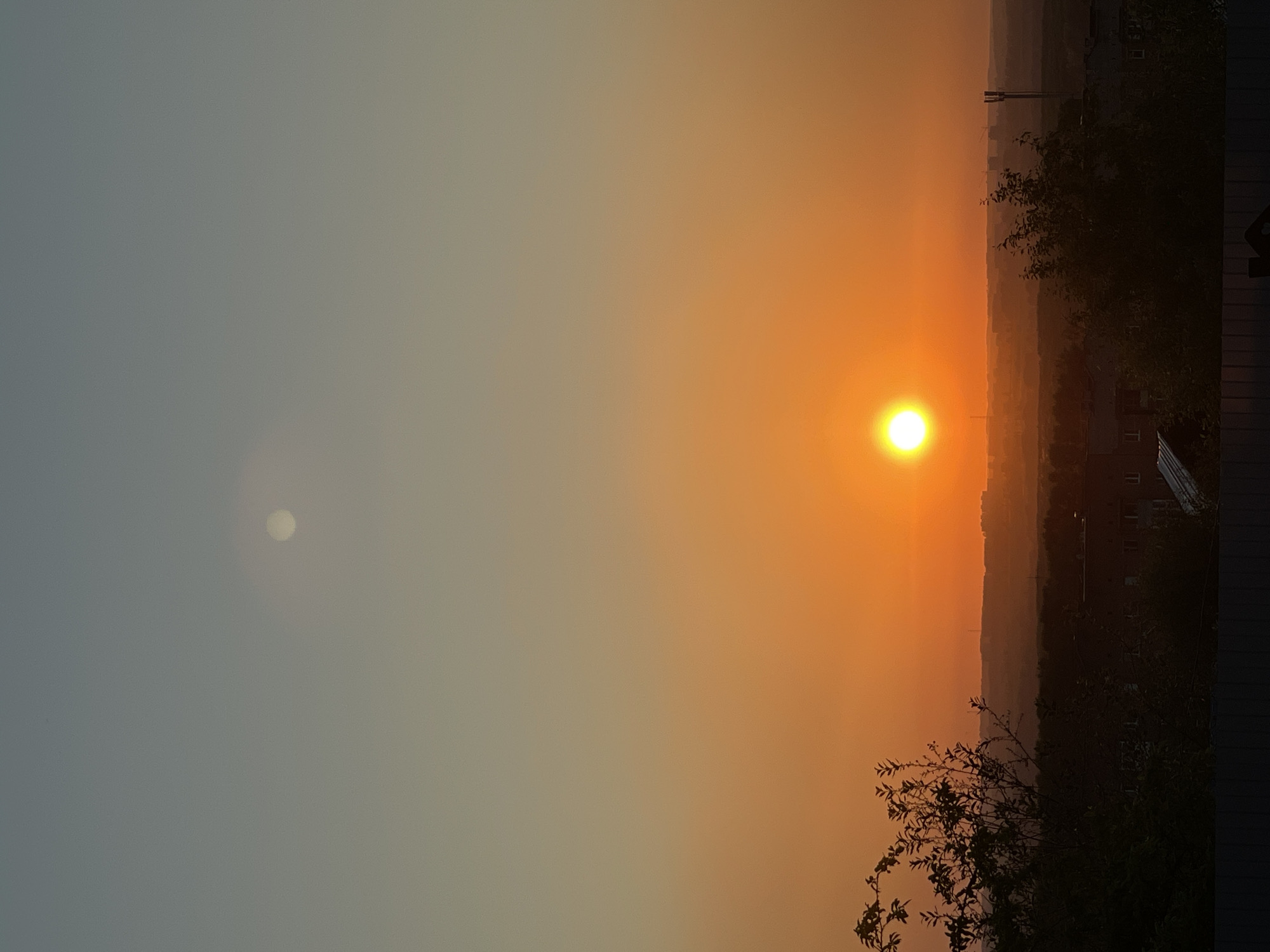 Golden hour in a Novokuznetsk backyard, summer evening.