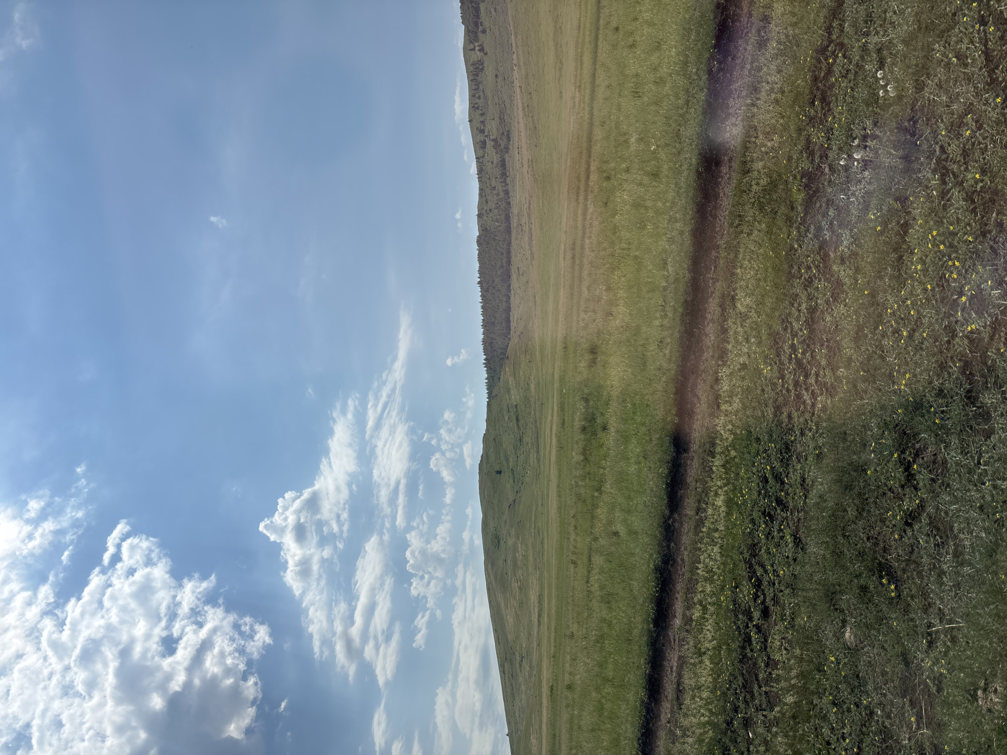 Rural Russia road trip documented through grasslands and wildflowers