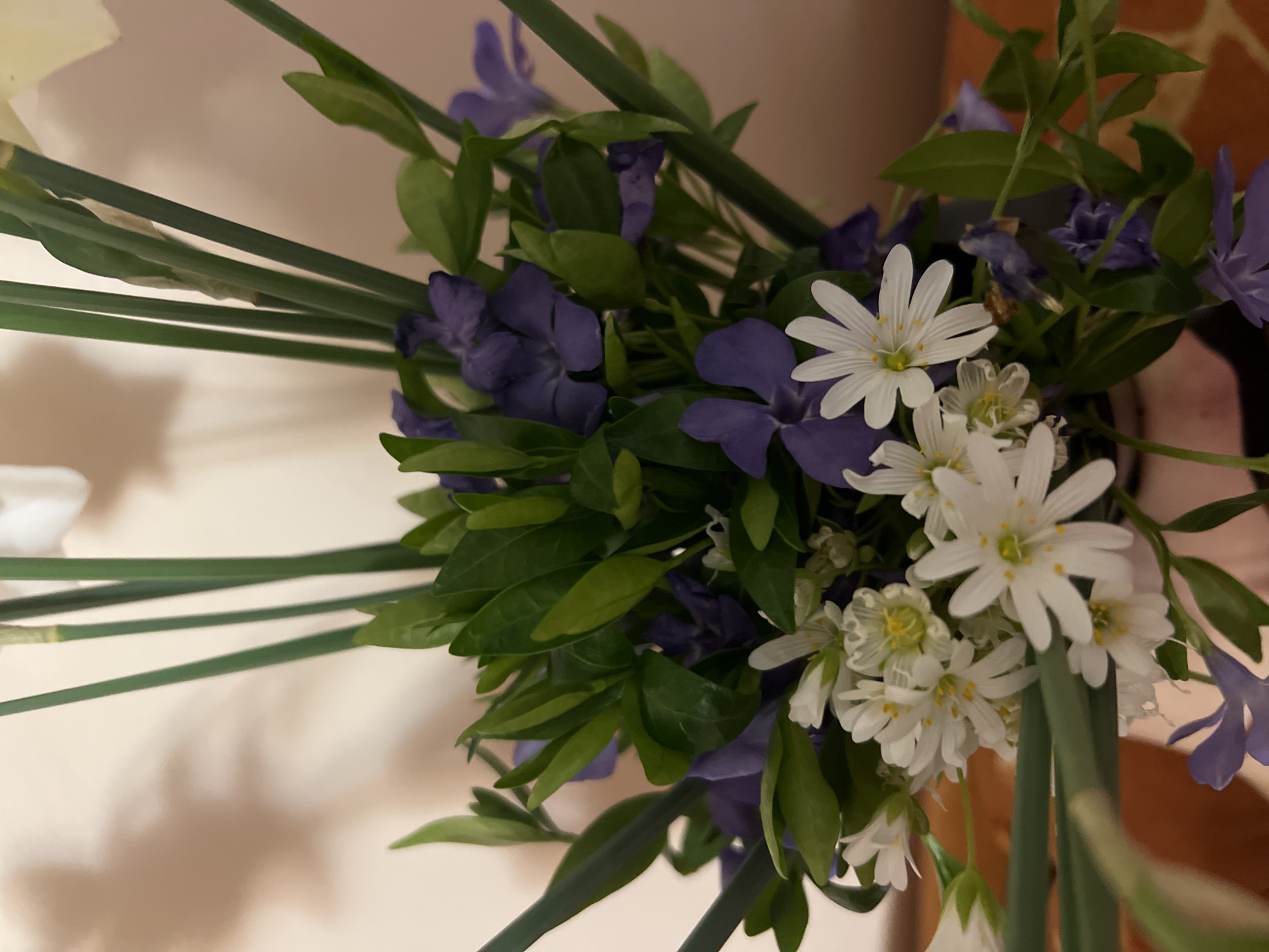 Spring flowers and poke bowl documented in Plovdiv