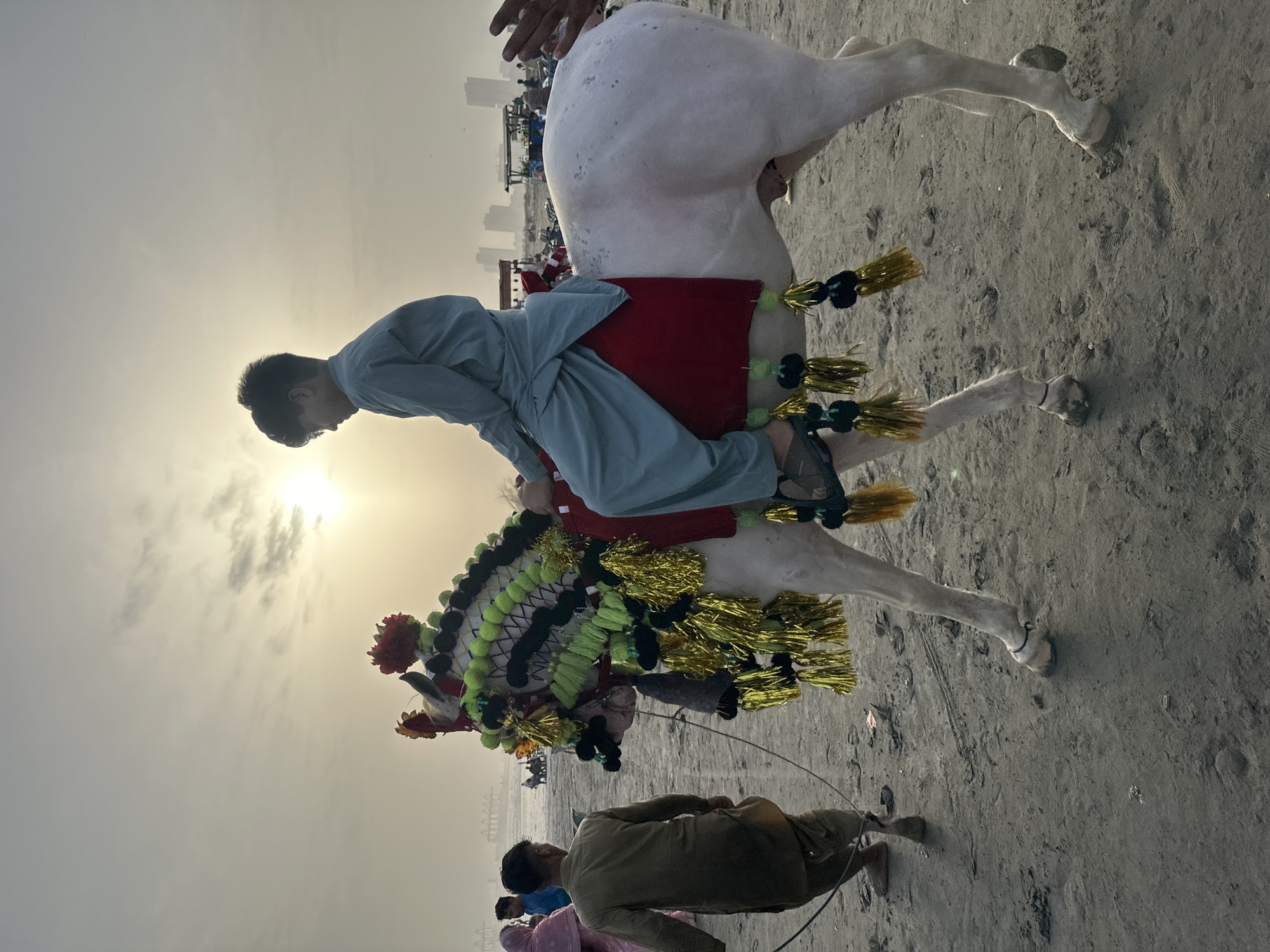 Decorated horses and street food on Karachi's beachfront