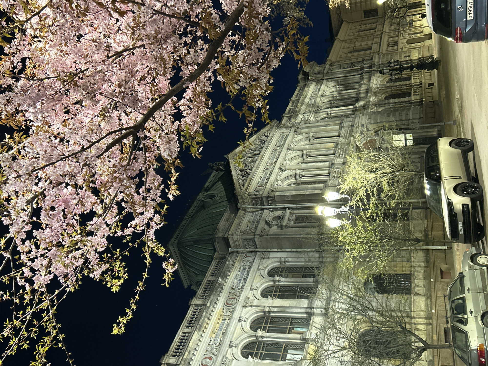 Spring evening stroll captured amid illuminated Saint Petersburg landmarks