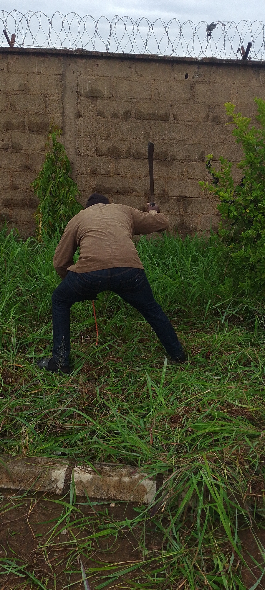 Workers Clear Vegetation in Urban Area Maintenance Operations
