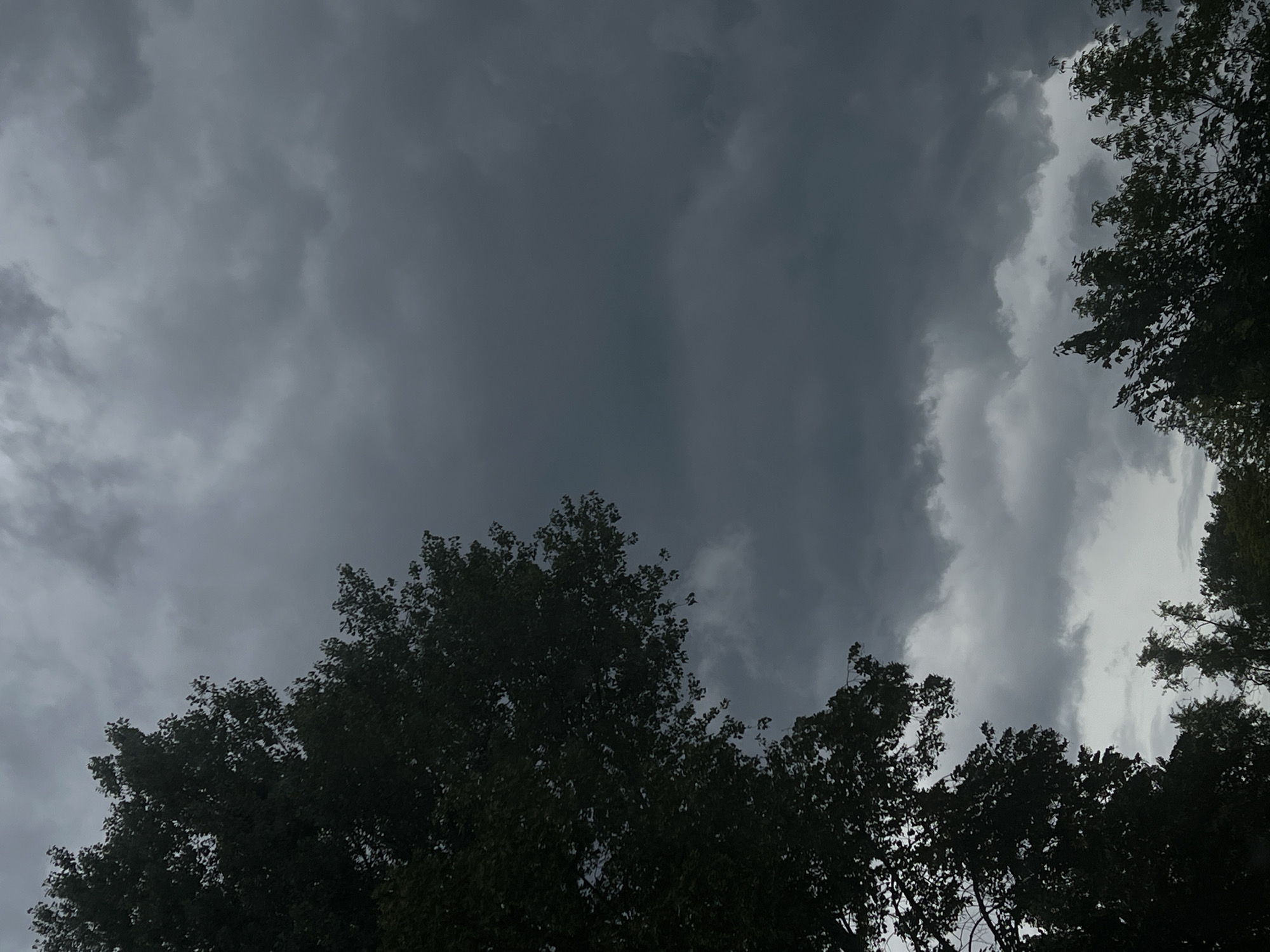 Storm clouds gather over Warsaw's summer tree canopy