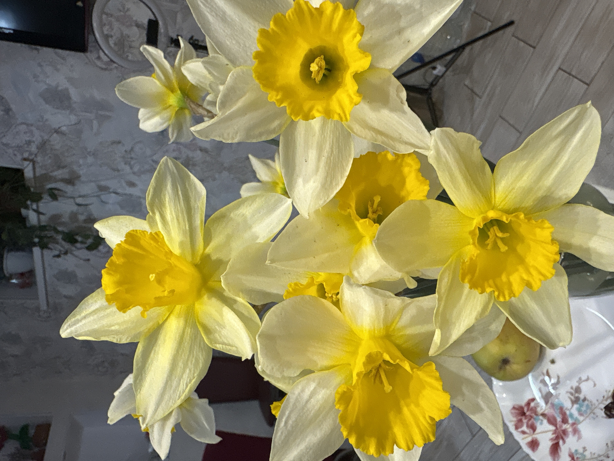 Spring flower arrangements photographed in Simferopol