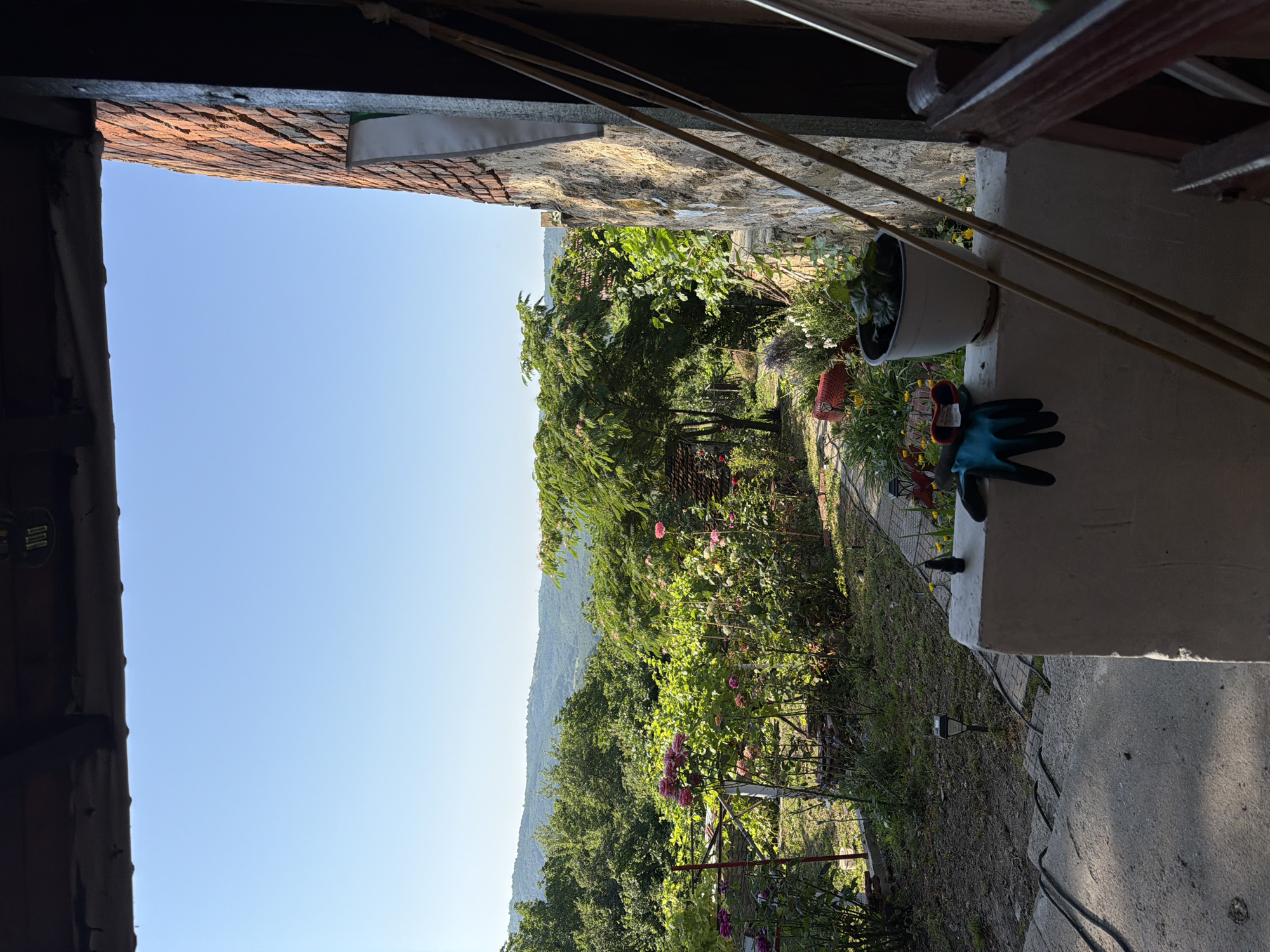 Rural Bulgarian garden property on a sunny summer morning