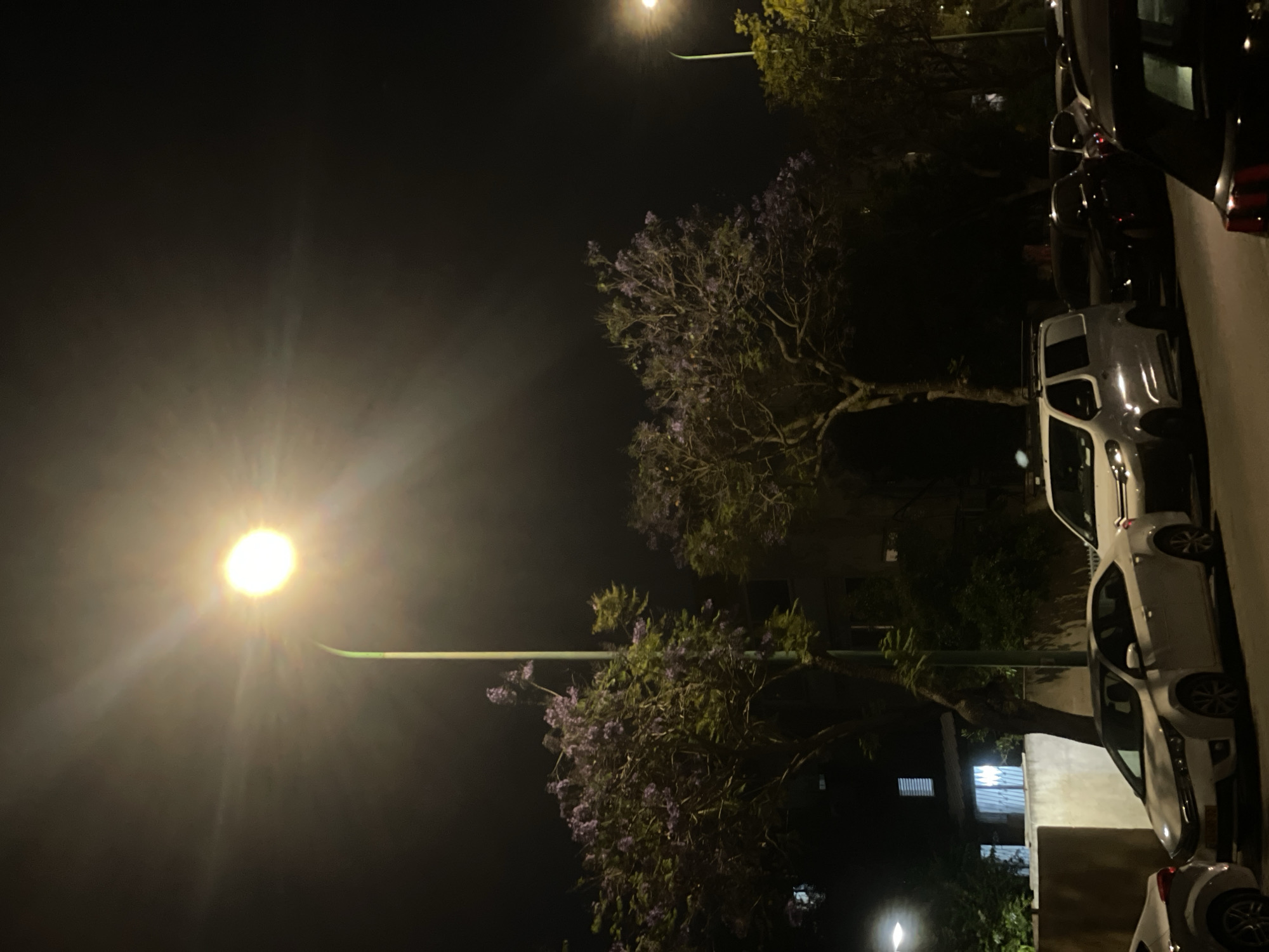 Nighttime street scene captured in Petah Tikva