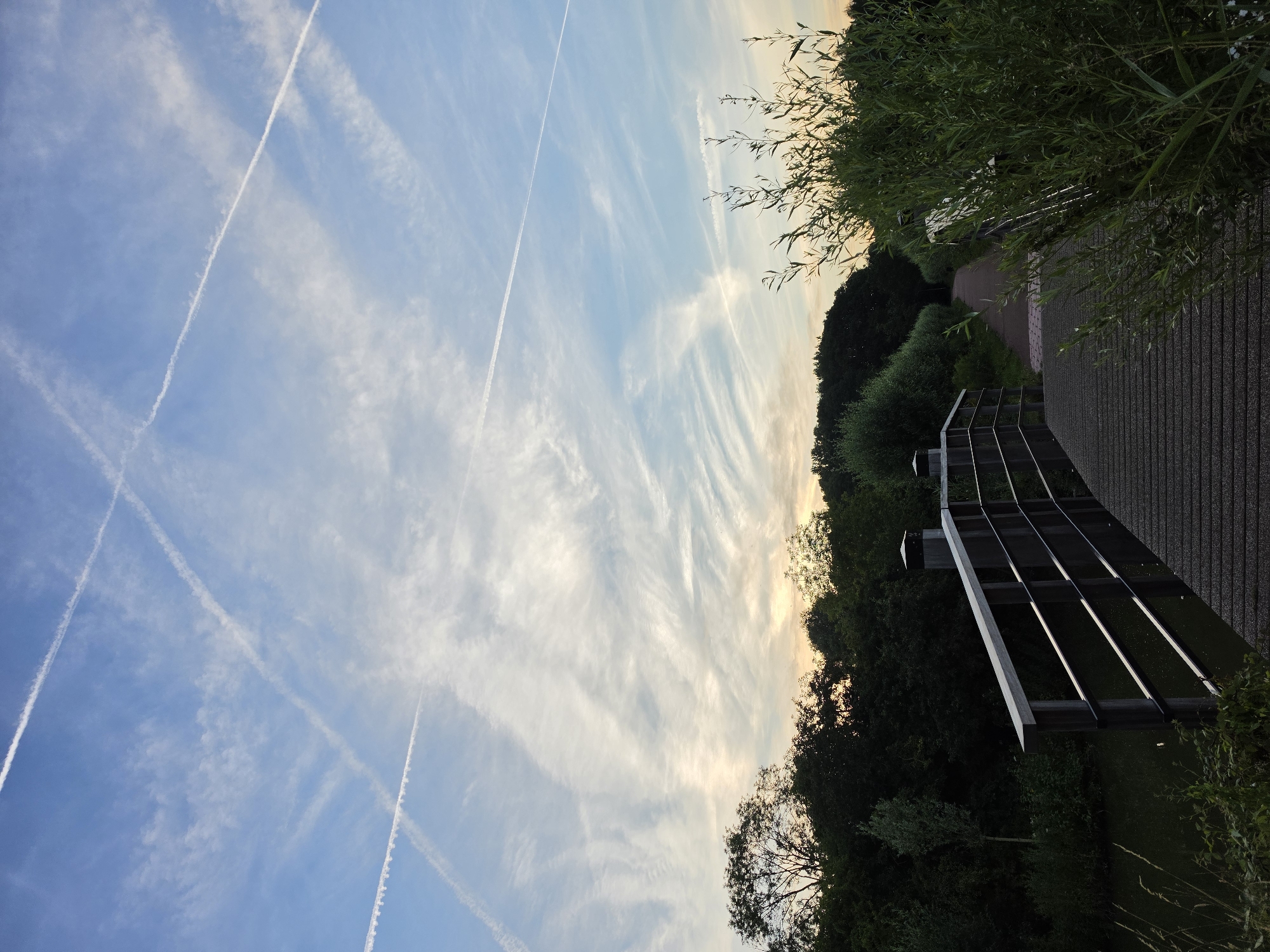Canals, old trees, and contrail skies at sunset in Rijswijk