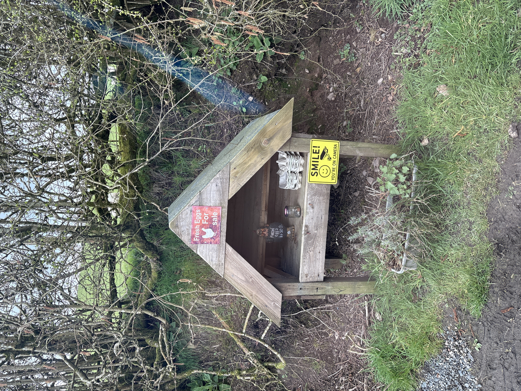 Fresh egg stand spotted in Wentnor countryside