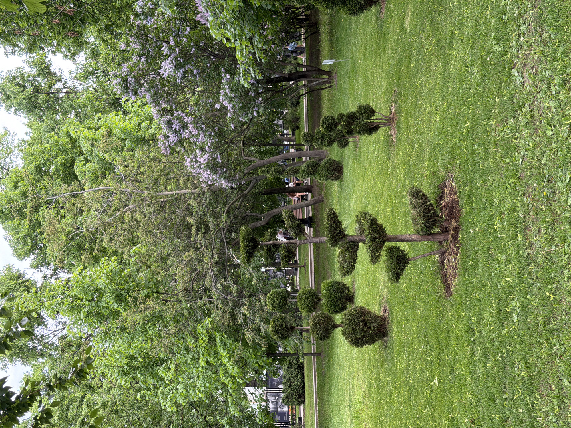 Spring blooms and monuments captured in Moscow park walkthrough