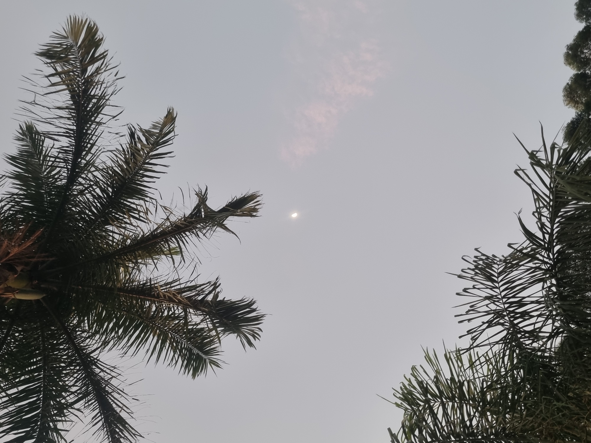 Laranjal Paulista, Brazil