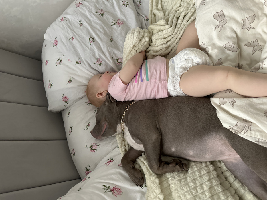 Domestic life captured in Pervomaysky: baby, dog, woman at home