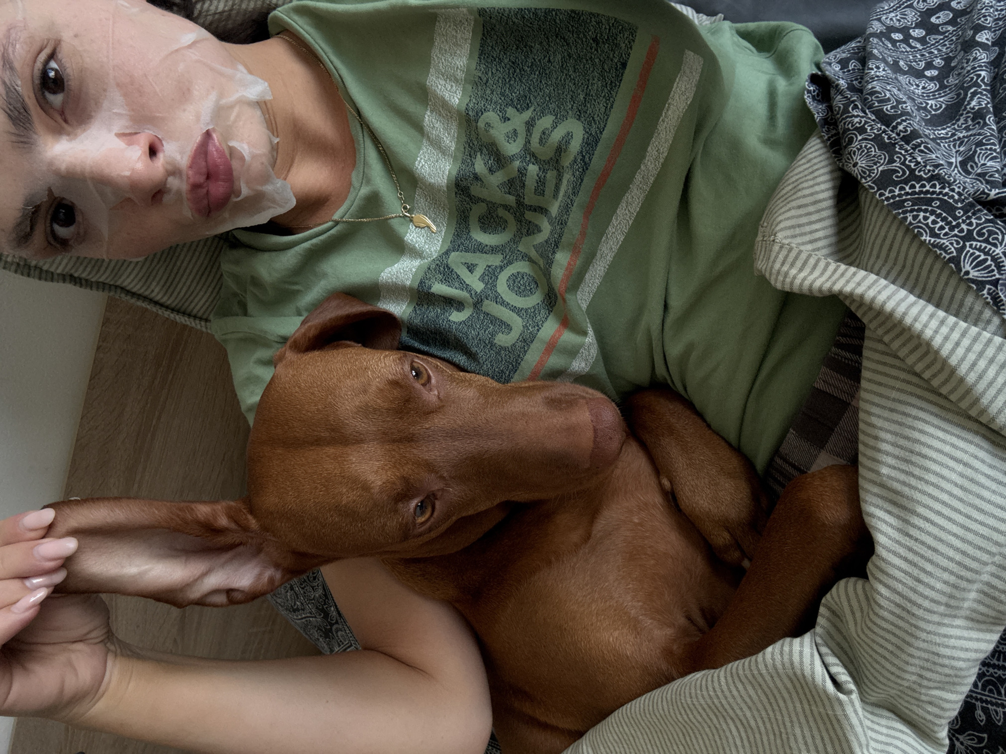 Person and Vizsla dog share quiet morning moment in Sofia