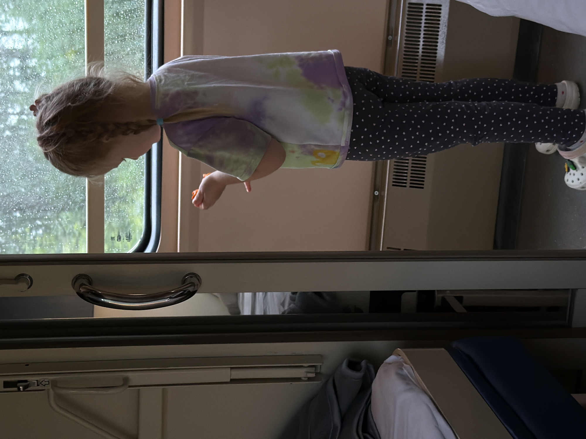 Rainy train ride through the Russian countryside