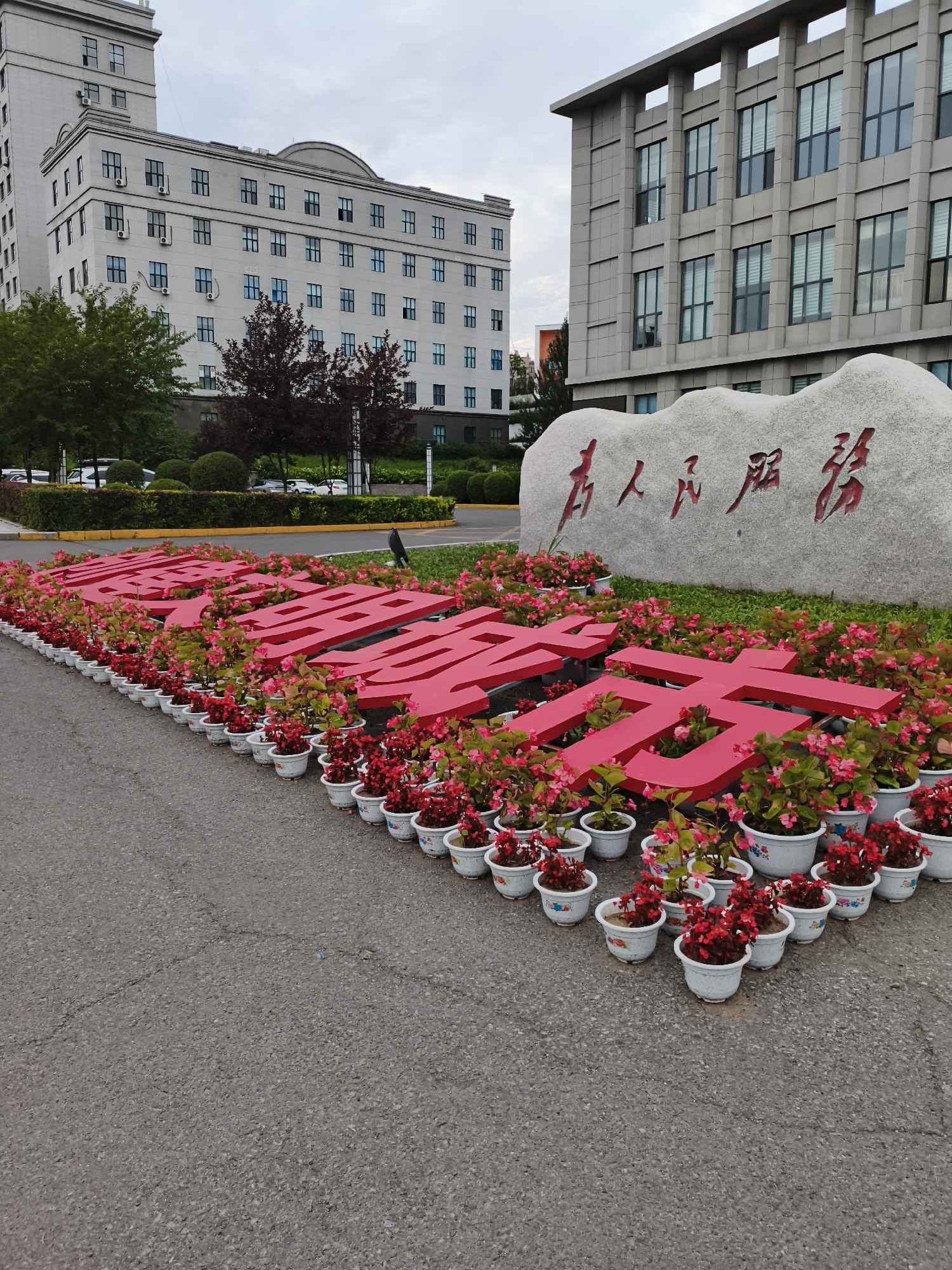 A Jiguan District park in full summer bloom