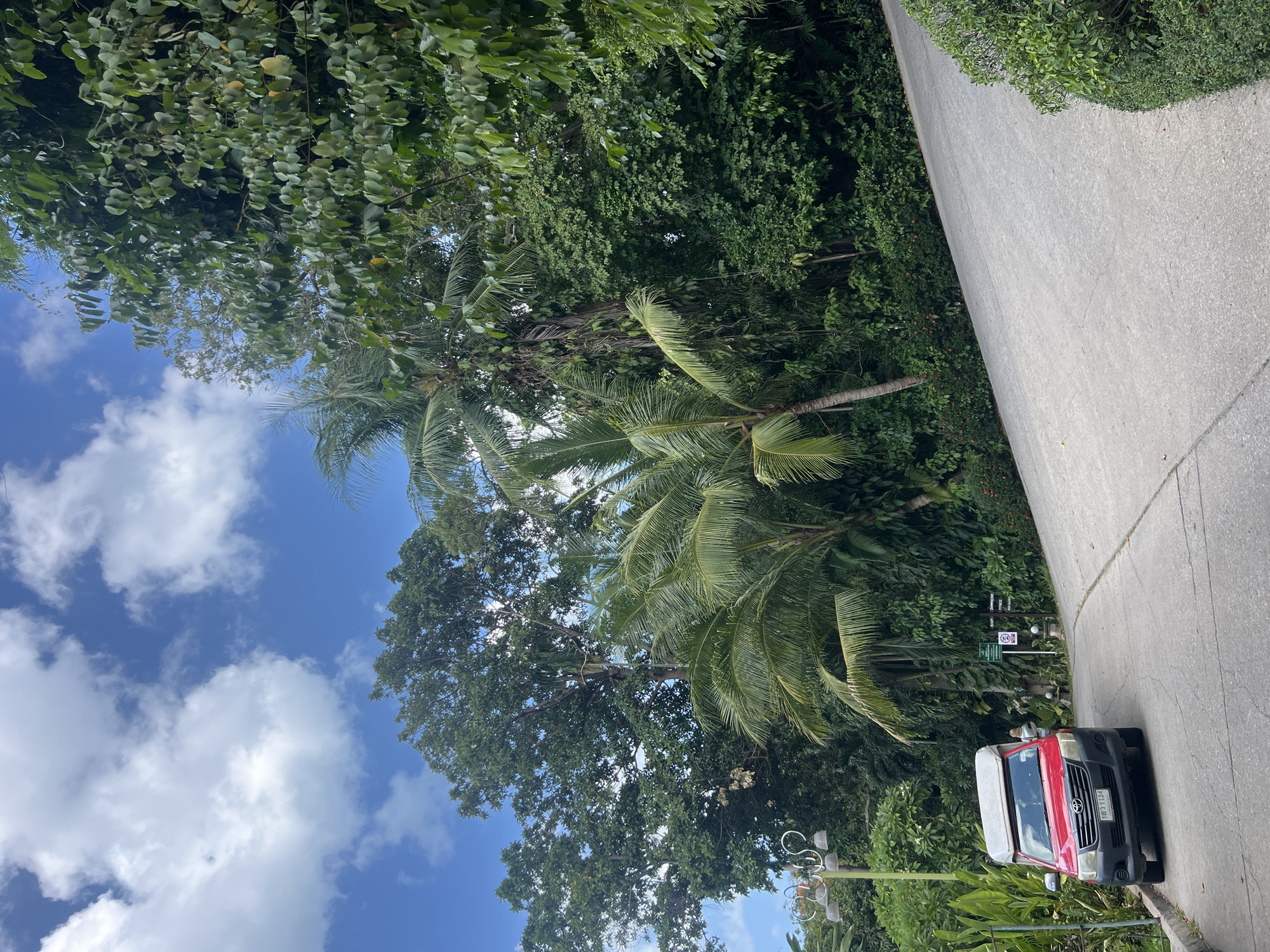 Wandering the grounds of Fairhouse Beach Samui resort