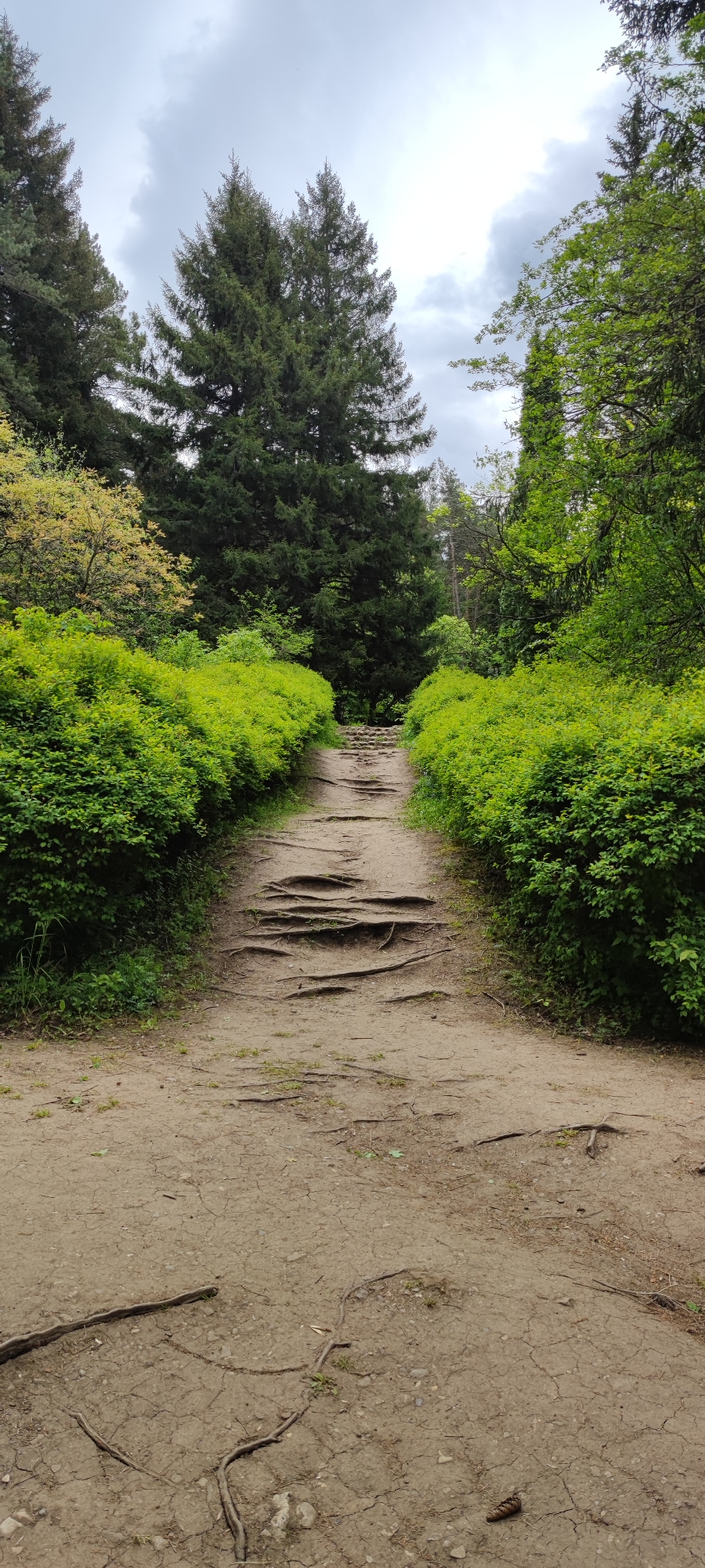 Morning hiker captures wooded trail scene in Armenia
