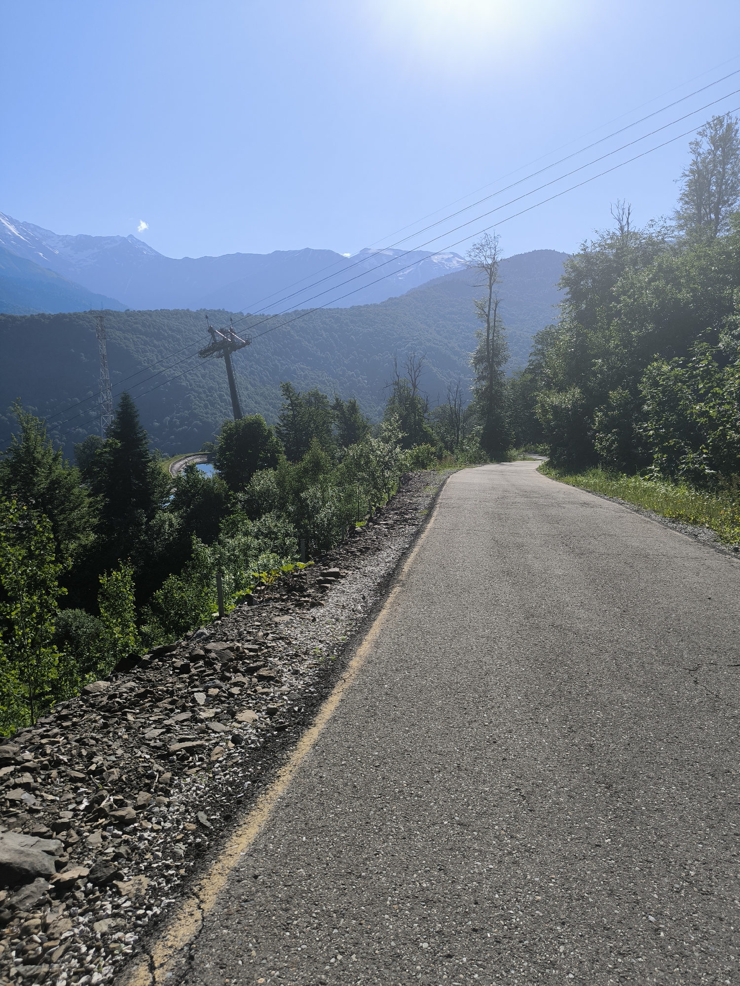 Mountain road scenes with open skies and a roaming cat