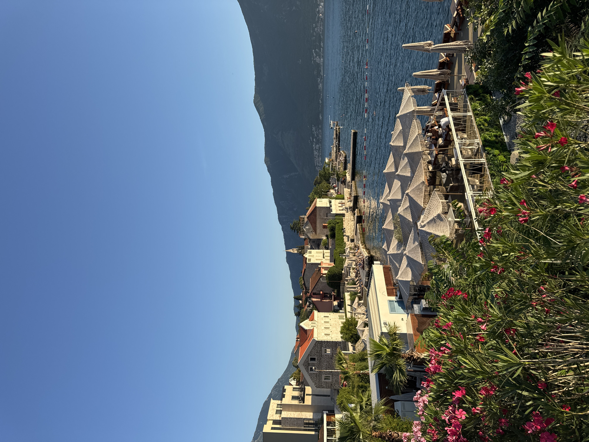 Cruise ship sails past Montenegro coastal town waterfront