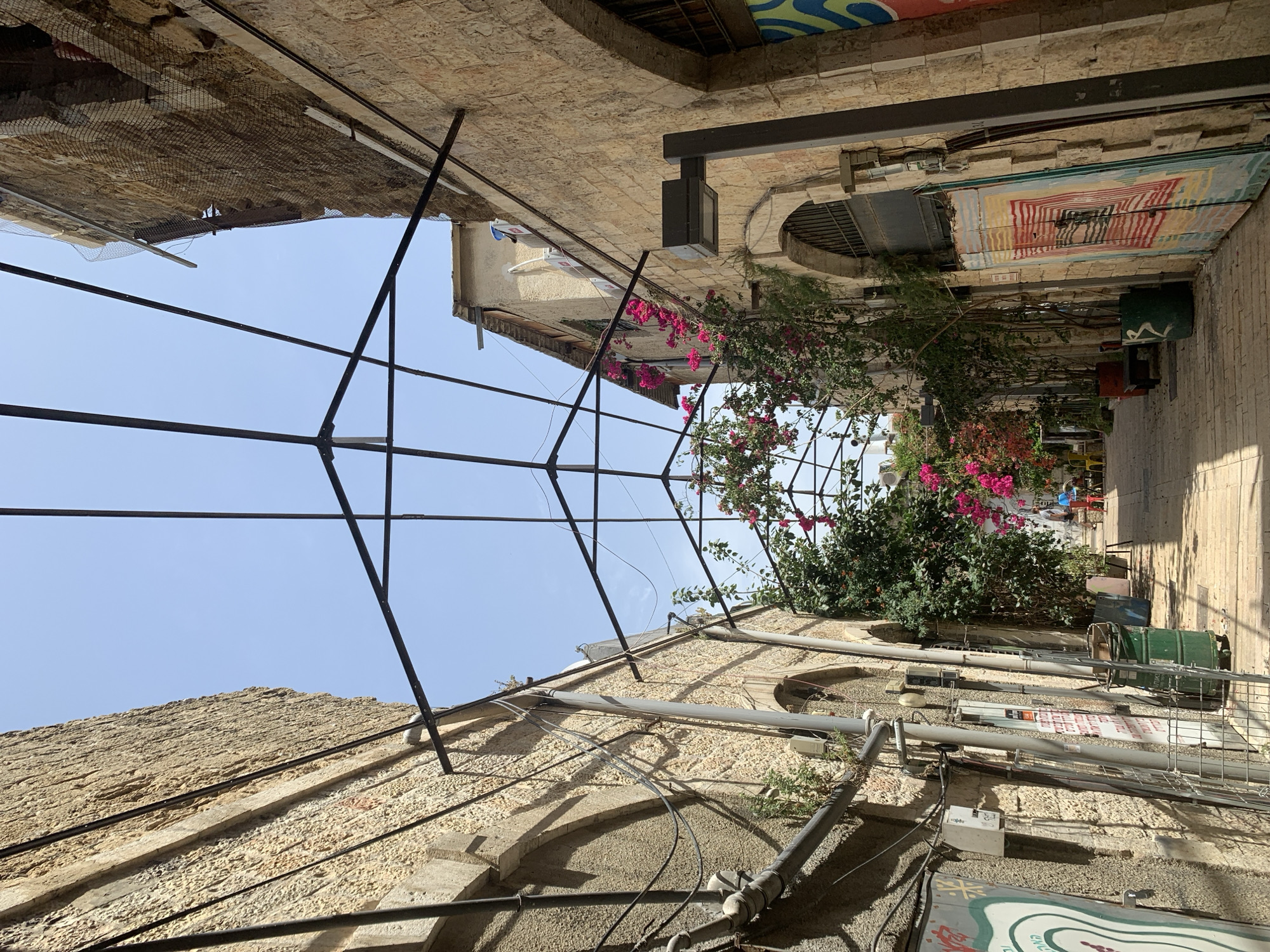 Tel Aviv street scene captured with stone buildings, bougainvillea