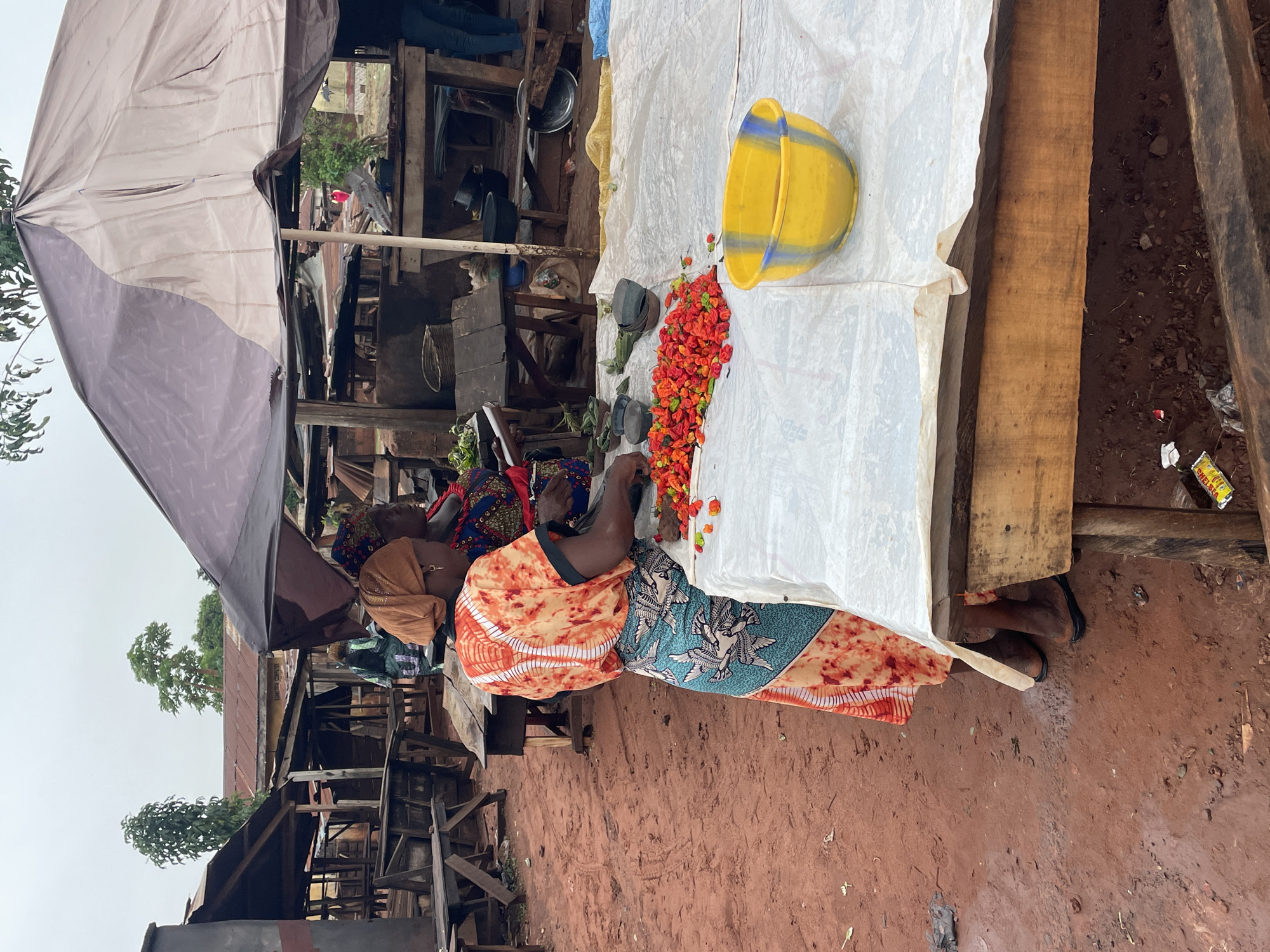Daily life scenes documented across Nigerian communities
