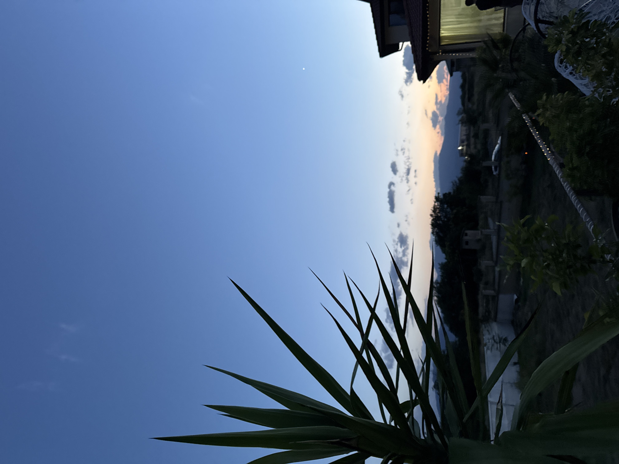Dusk on a Karlovo patio, yucca plants and hanging chairs