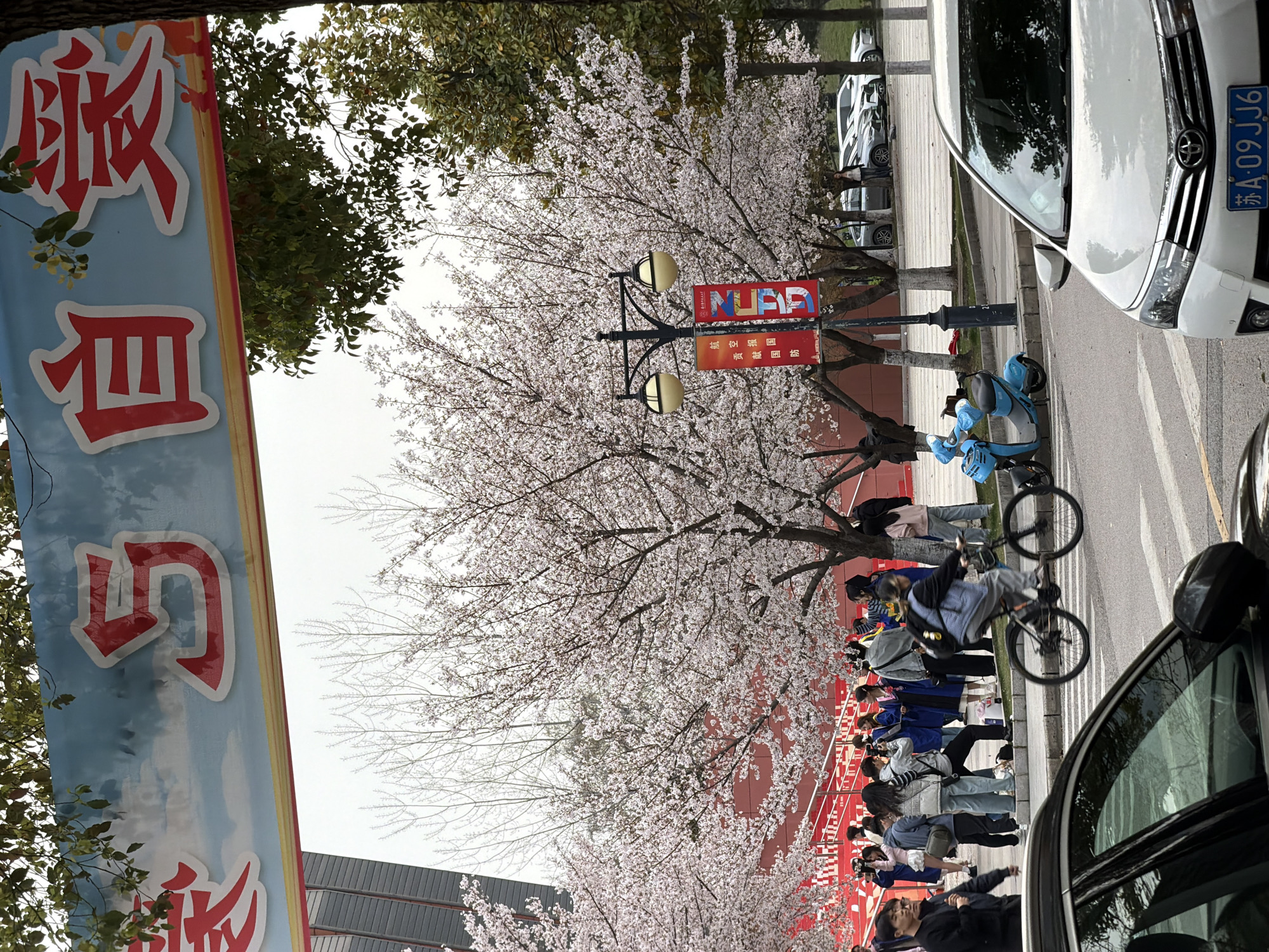 Spring scenes documented across Jiangning District during overcast morning