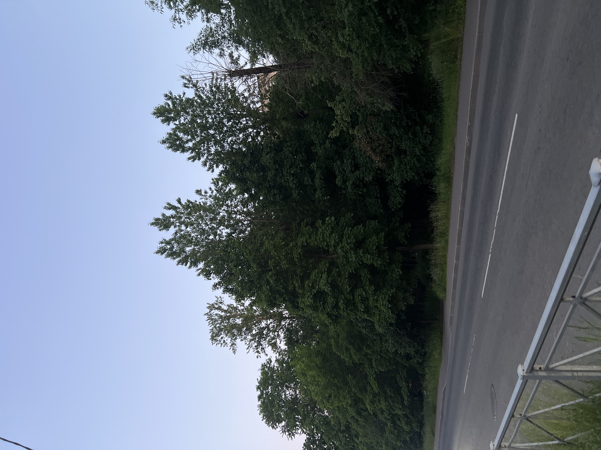 Witness documents twilight scenes across Saint Petersburg neighborhoods