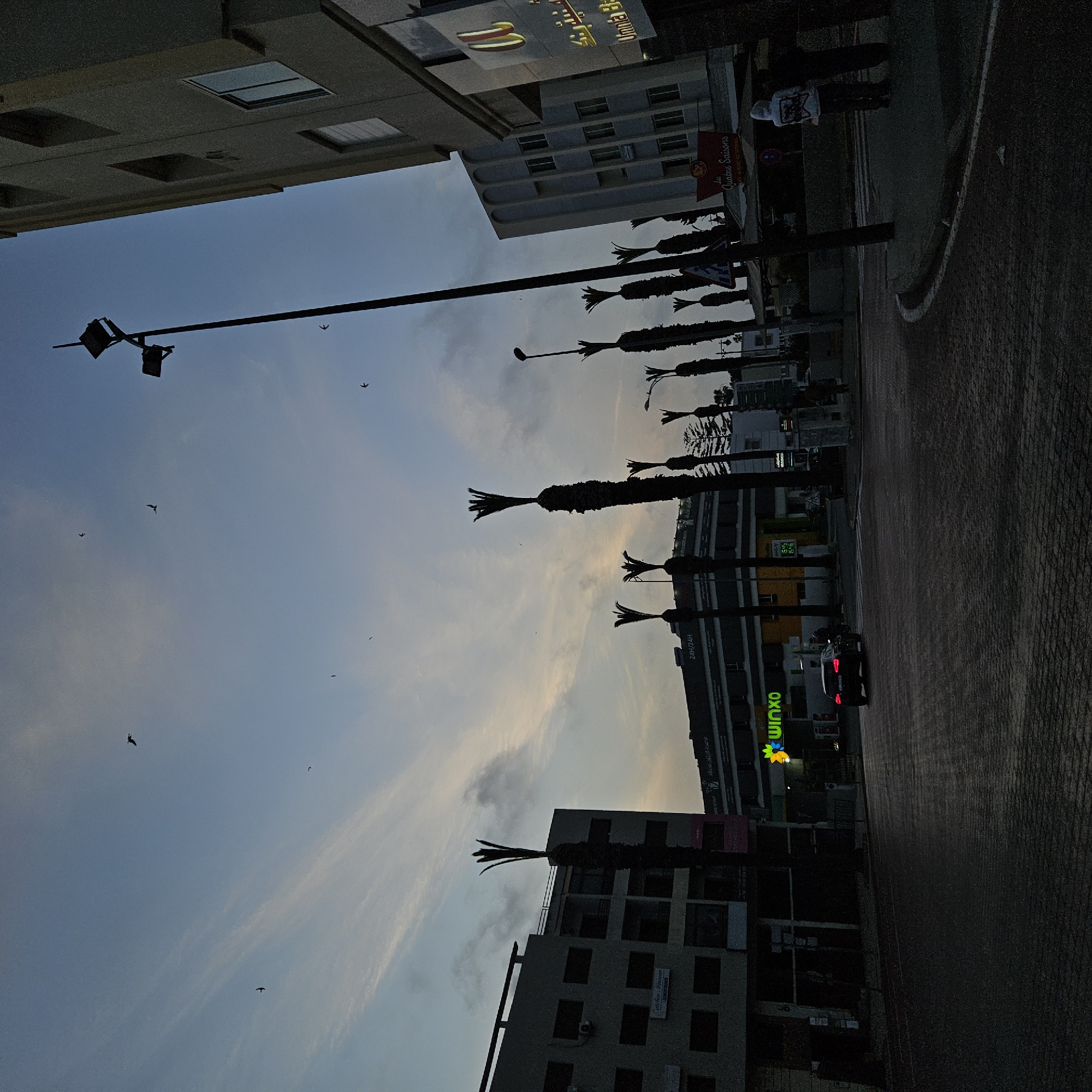 Evening sky transitions documented in Mohammedia, Morocco