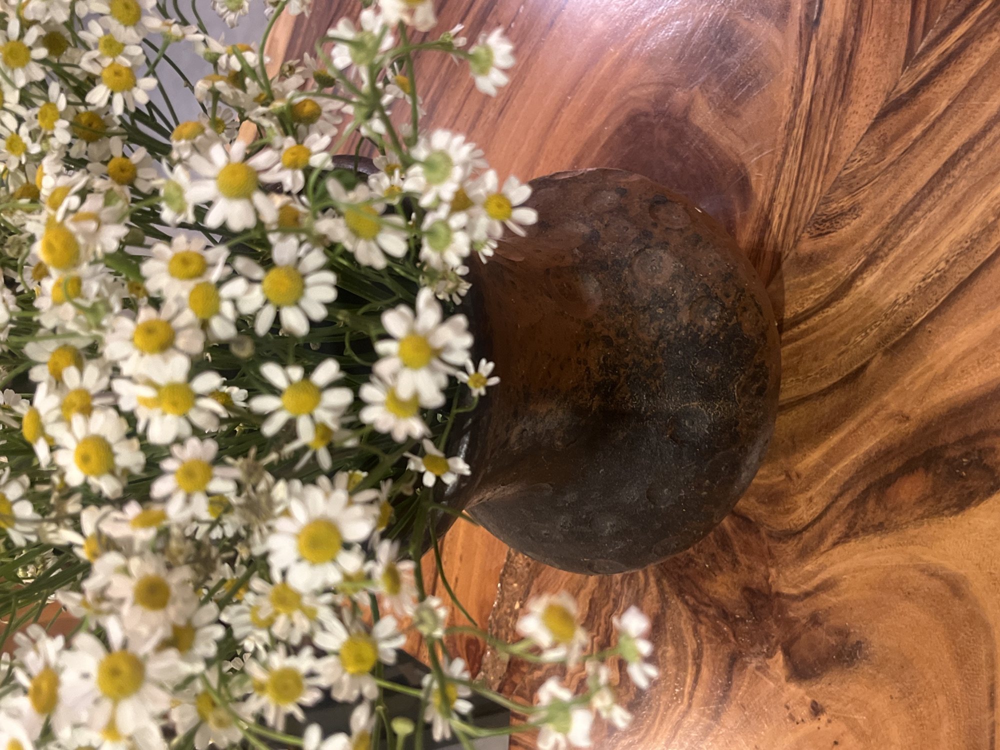 Flowers indoors, then out on the streets at night on two wheels.