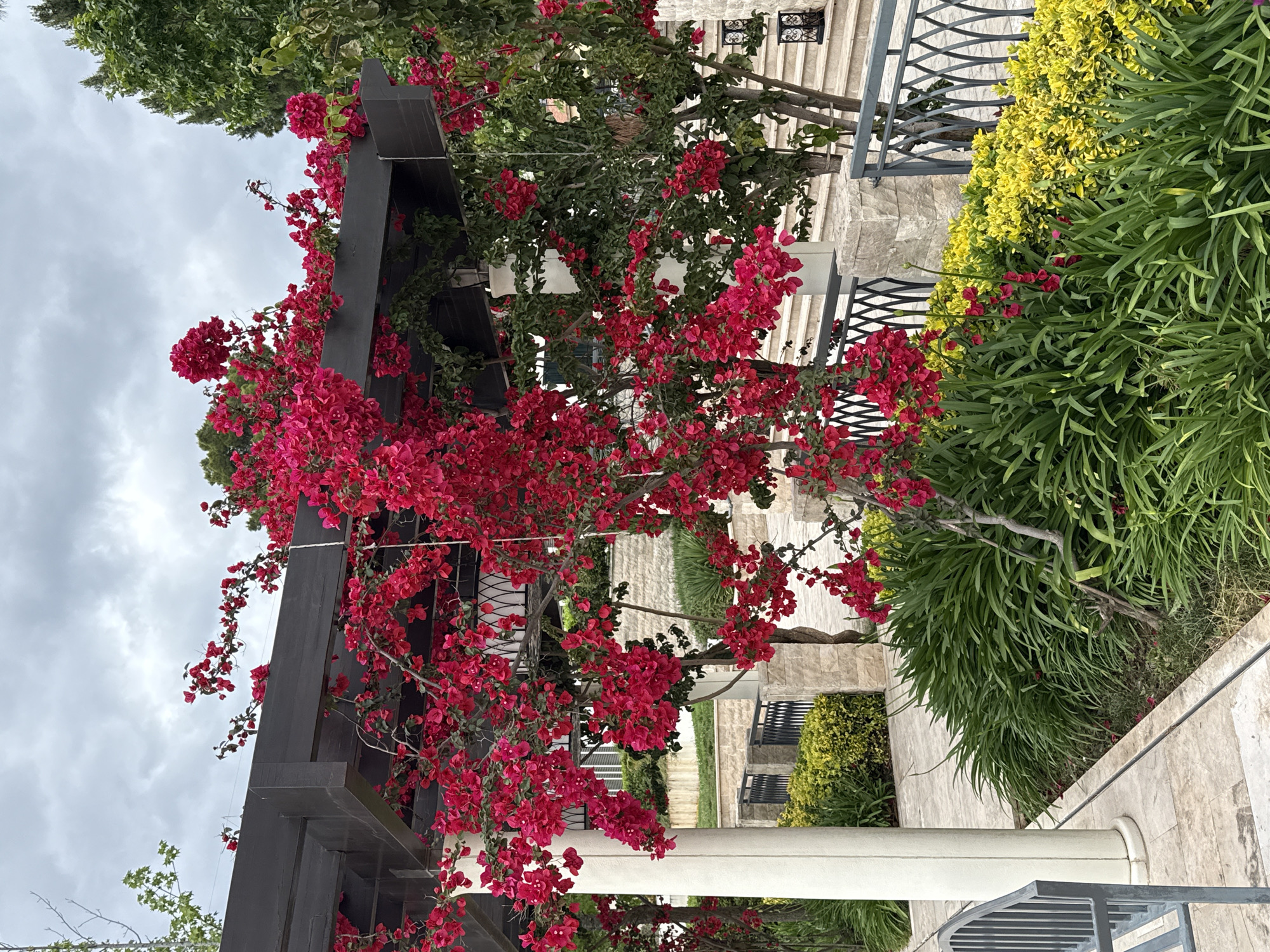 Garden tour documented in Kumbor, Montenegro features blooming flowers