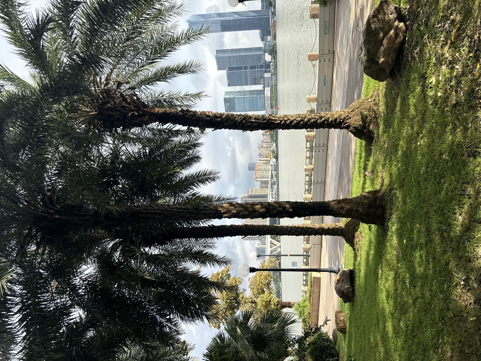 Sunny afternoon along Haizhu District's Pearl River parkway