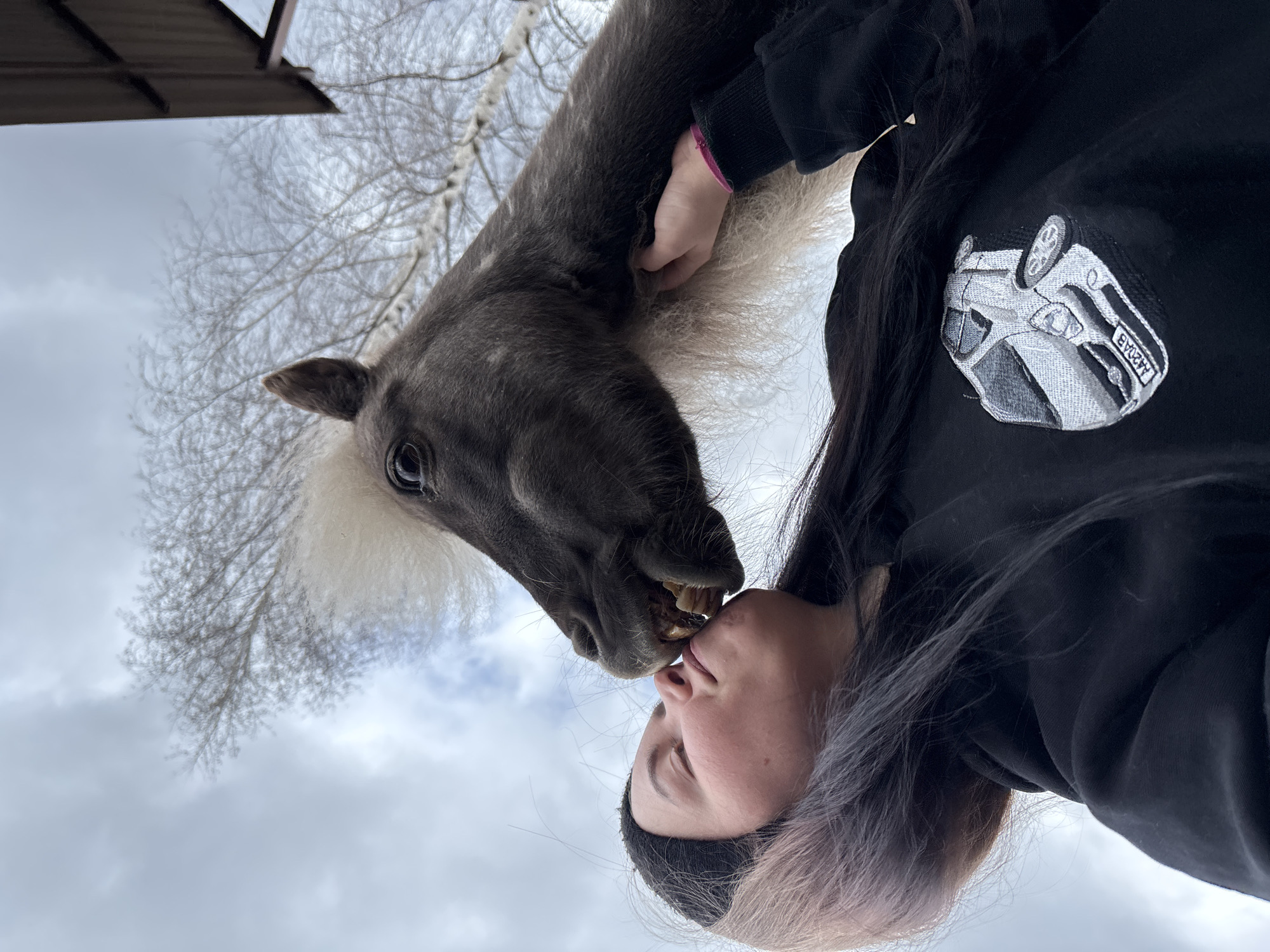 Morning horse interaction documented in rural Russia